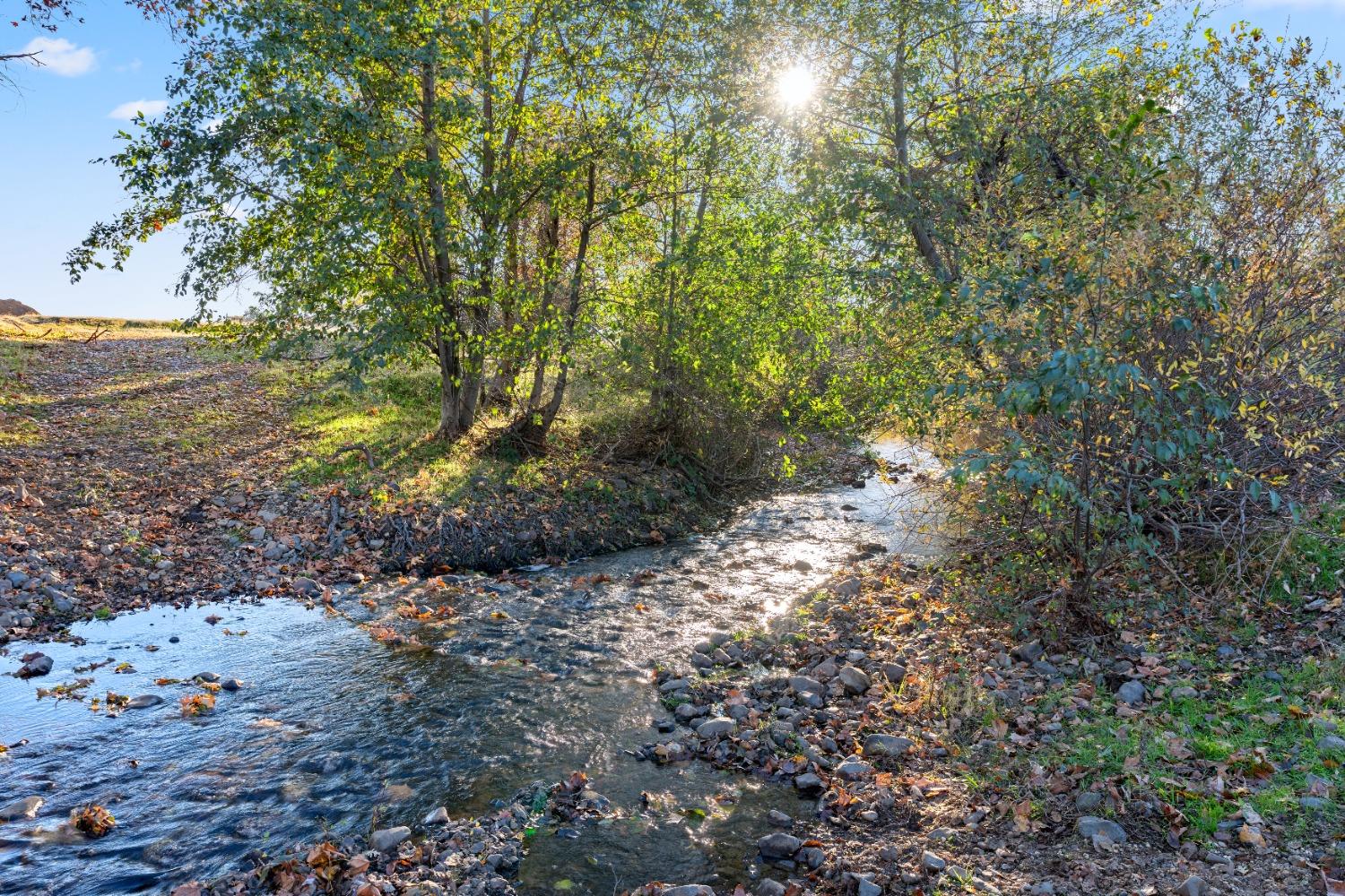 Wheelock Road, Oroville, California image 3