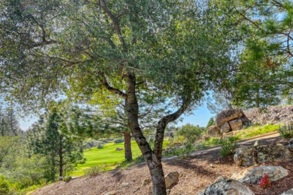 Detail Gallery Image 37 of 72 For 1412 Lodge View Dr, Meadow Vista,  CA 95722 - 4 Beds | 3 Baths