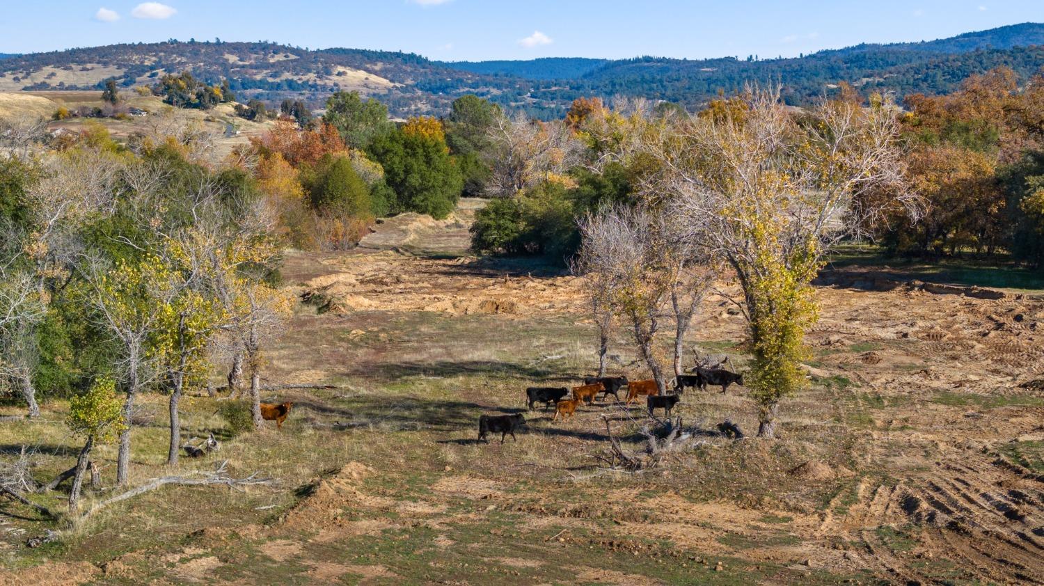 Wheelock Road, Oroville, California image 12