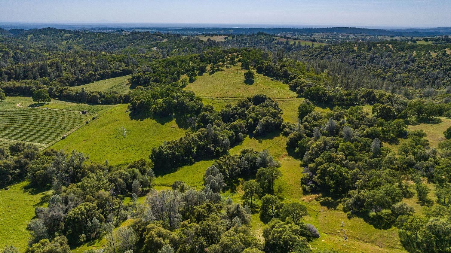 Detail Gallery Image 55 of 61 For 21101 Ostrom Rd, Fiddletown,  CA 95629 - 2 Beds | 2 Baths