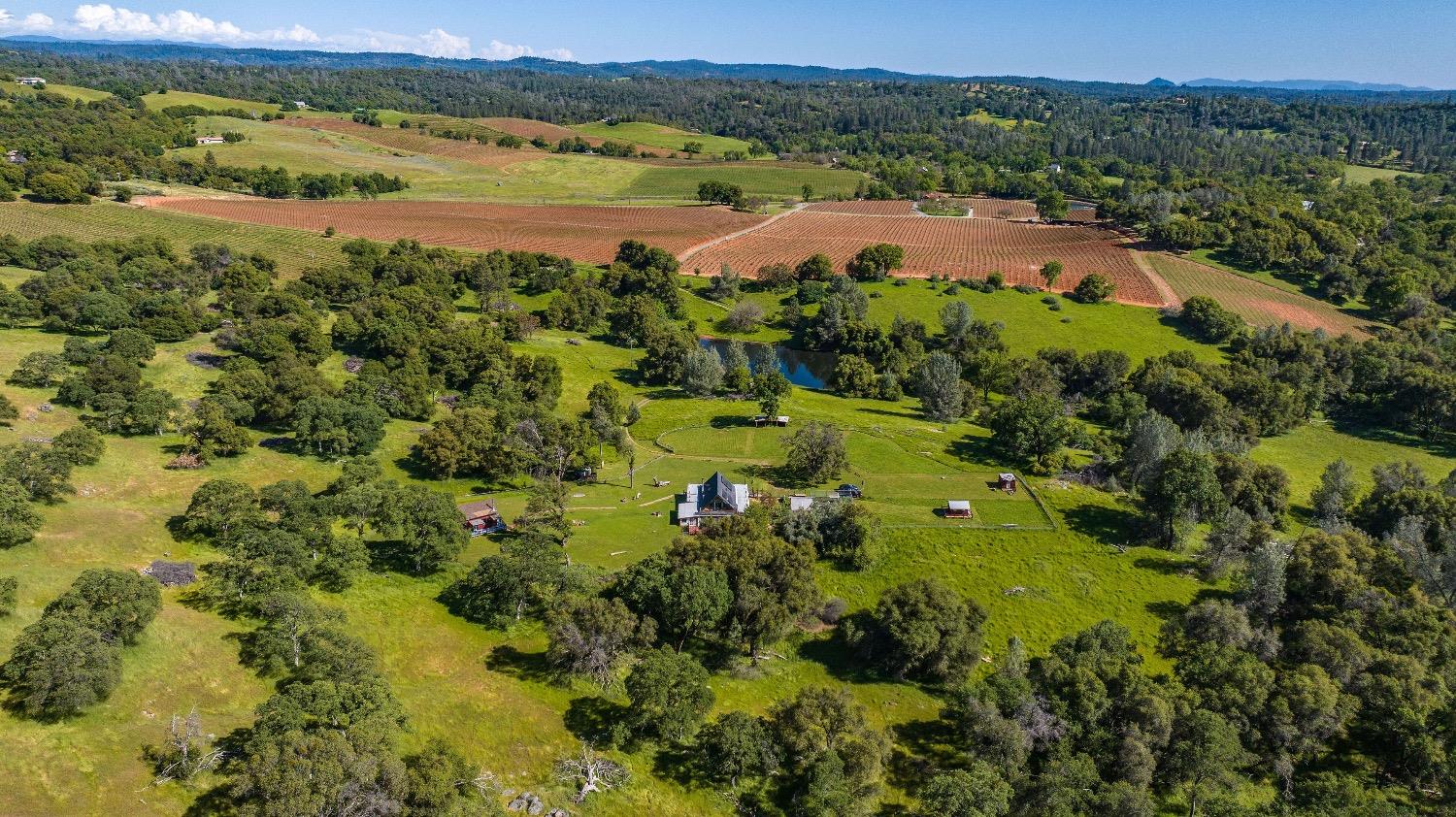 Detail Gallery Image 56 of 61 For 21101 Ostrom Rd, Fiddletown,  CA 95629 - 2 Beds | 2 Baths