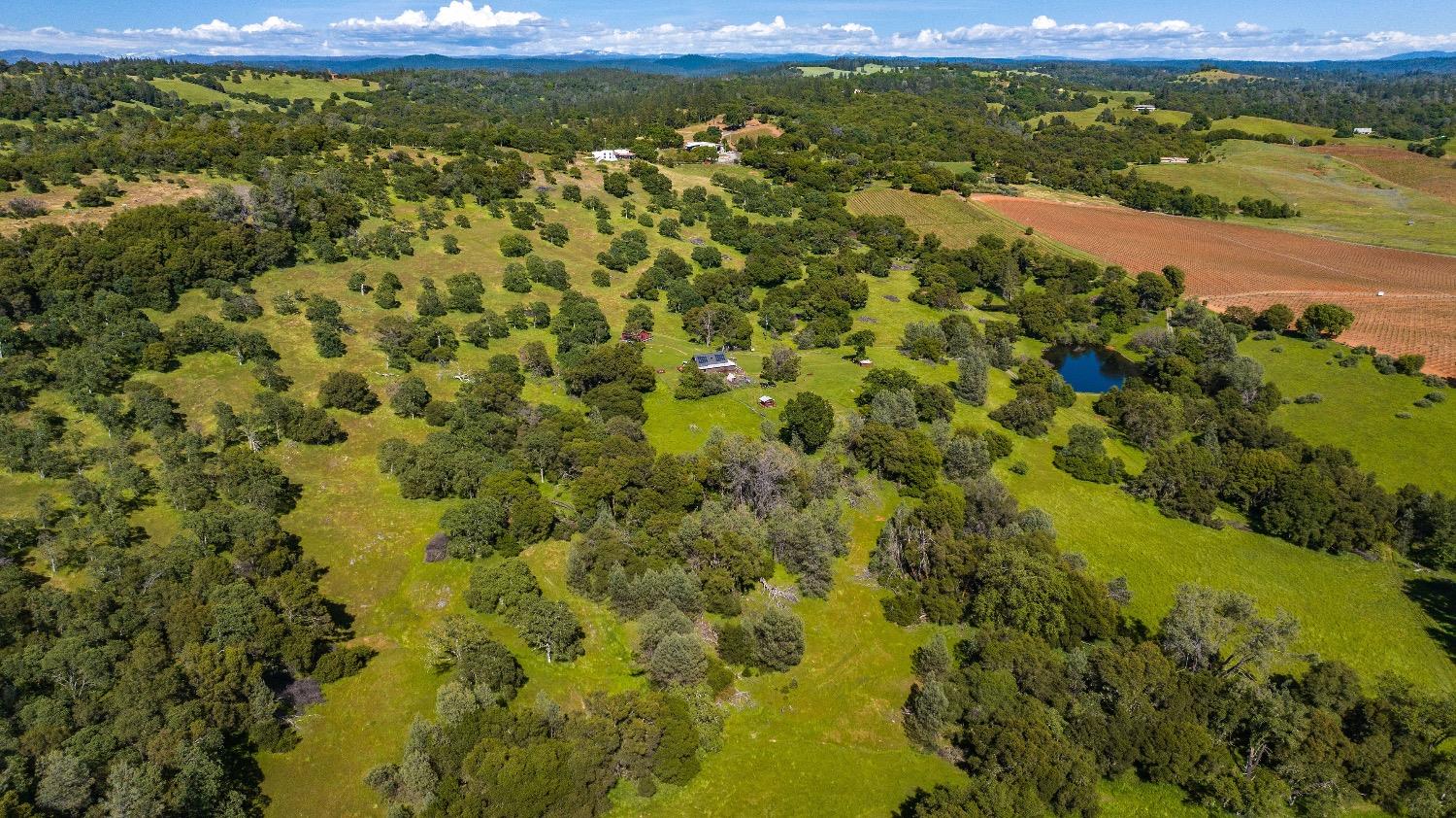 Detail Gallery Image 53 of 61 For 21101 Ostrom Rd, Fiddletown,  CA 95629 - 2 Beds | 2 Baths