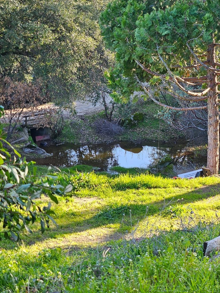 Detail Gallery Image 78 of 79 For 46467 Bissett Station Rd, Ahwahnee,  CA 93601 - – Beds | – Baths