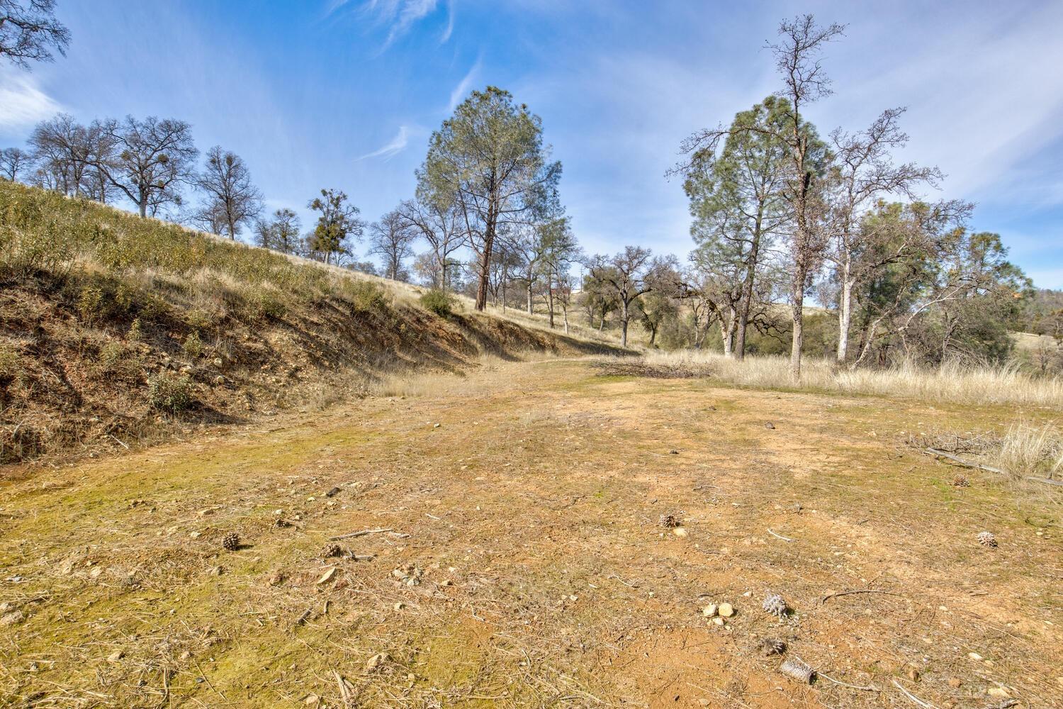 Detail Gallery Image 14 of 28 For 10240 Bone Yard Creek Rd, Coulterville,  CA 95311 - – Beds | – Baths
