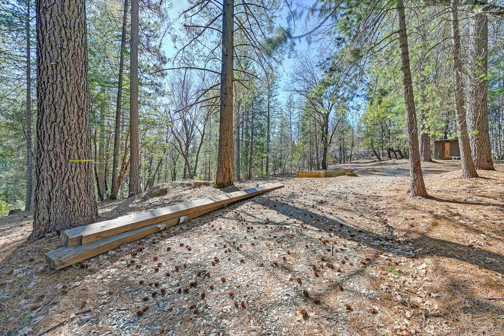 Detail Gallery Image 4 of 29 For 7287 Critter Ln, Georgetown,  CA 95634 - – Beds | – Baths