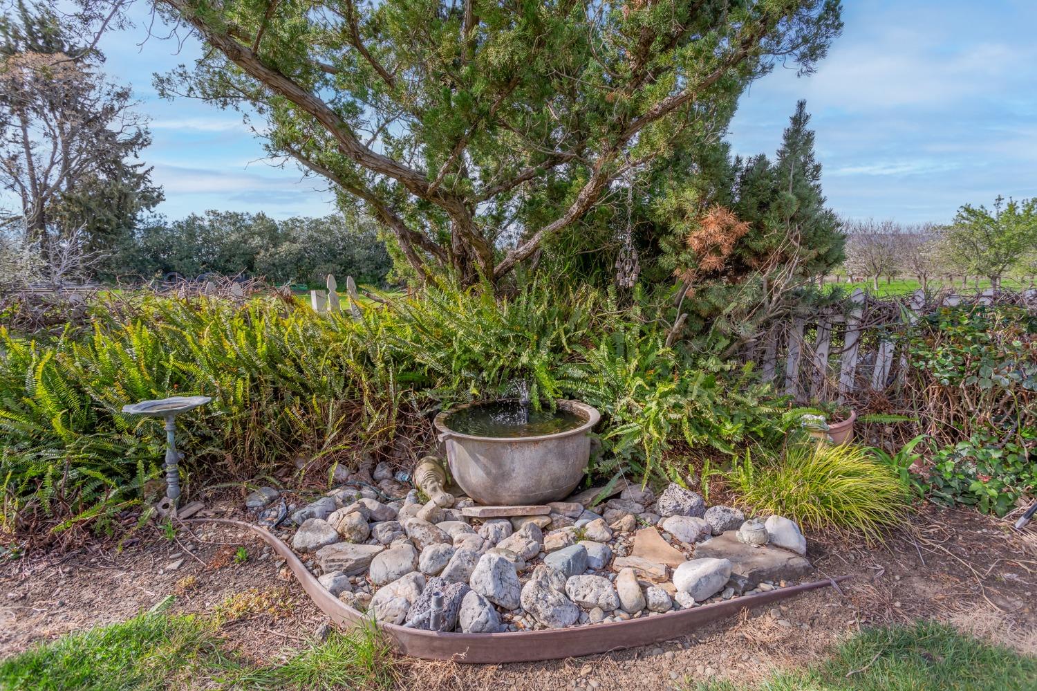 Detail Gallery Image 16 of 50 For 18240 County Road 86, Esparto,  CA 95627 - 3 Beds | 2/1 Baths