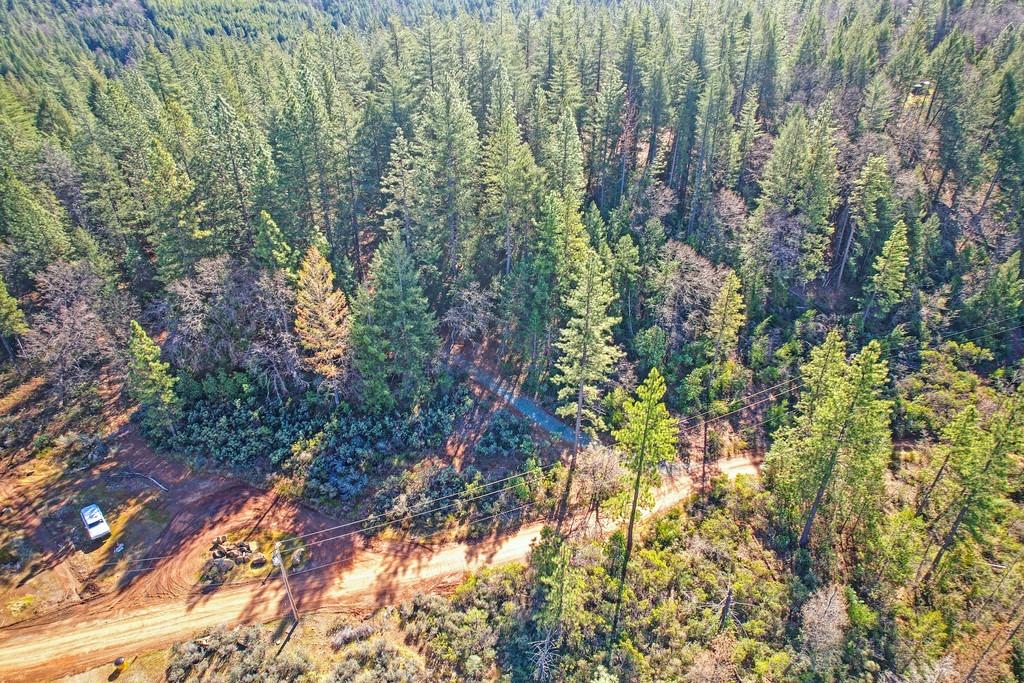 Detail Gallery Image 15 of 29 For 7287 Critter Ln, Georgetown,  CA 95634 - – Beds | – Baths