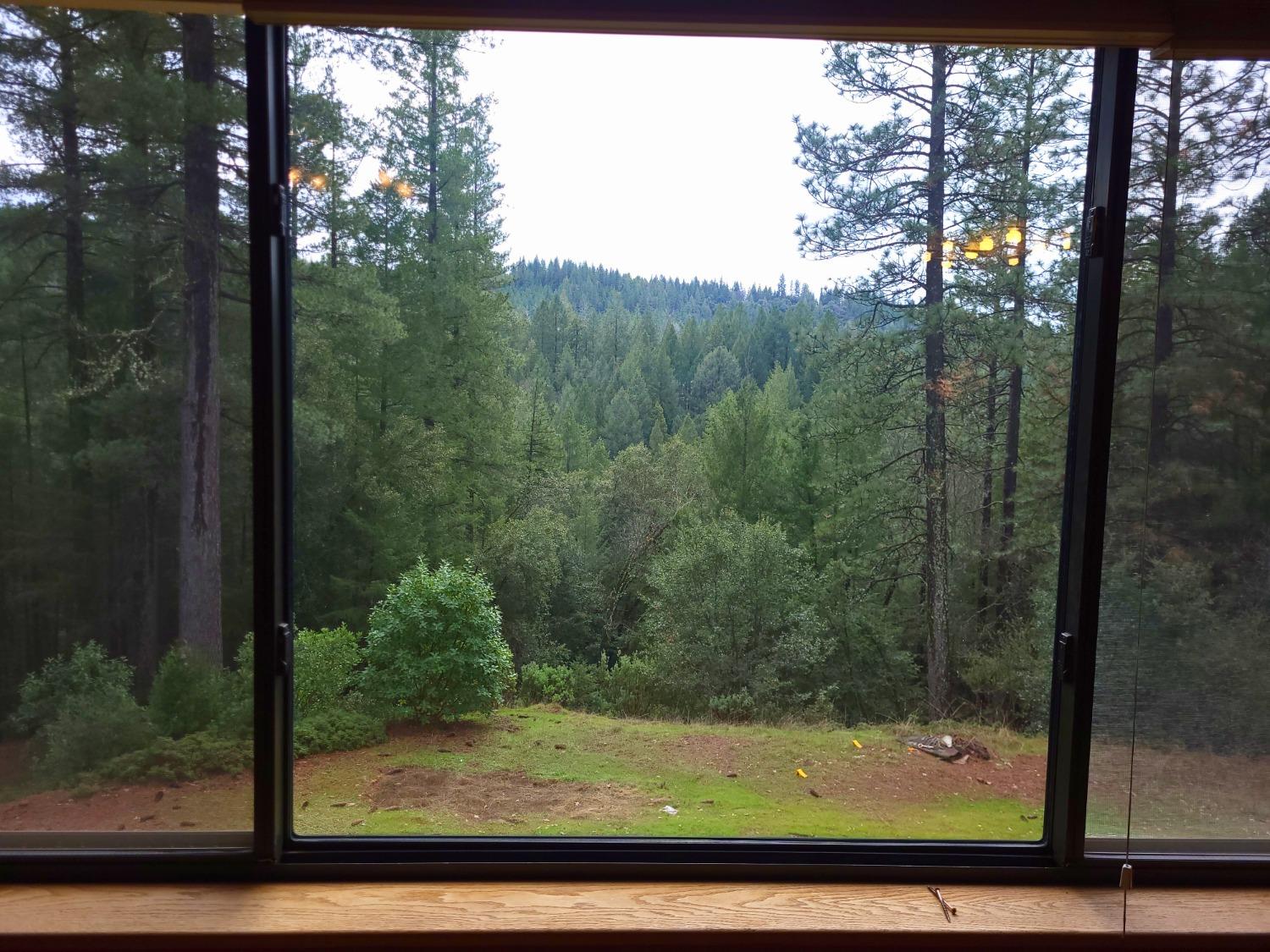 Detail Gallery Image 5 of 45 For 21640 Clute Canyon Rd, Volcano,  CA 95689 - 2 Beds | 2 Baths