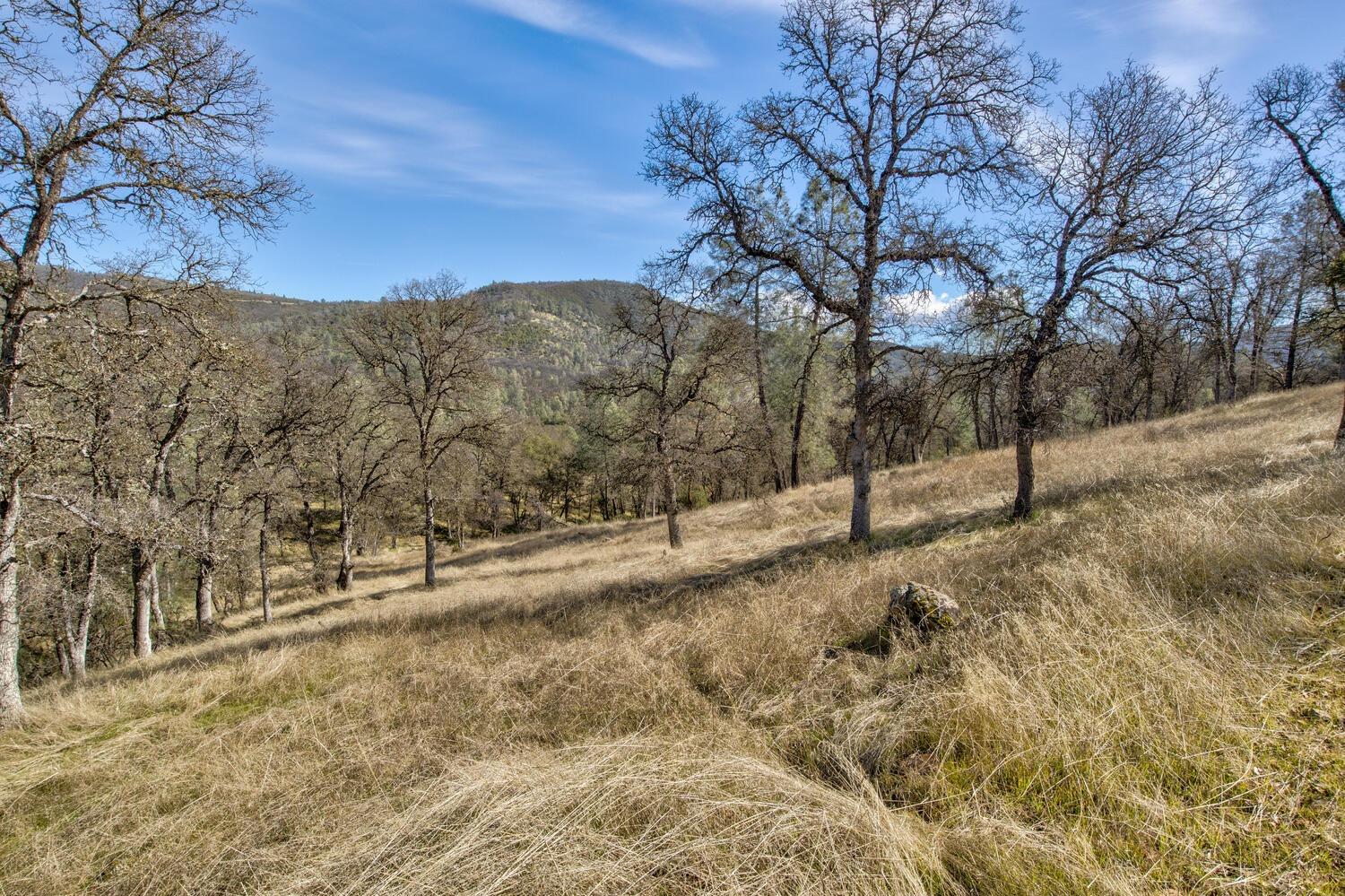 Detail Gallery Image 7 of 28 For 10240 Bone Yard Creek Rd, Coulterville,  CA 95311 - – Beds | – Baths