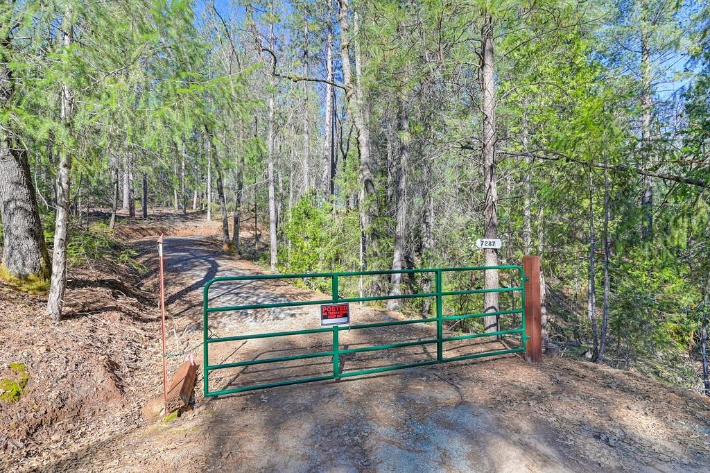 Detail Gallery Image 21 of 29 For 7287 Critter Ln, Georgetown,  CA 95634 - – Beds | – Baths