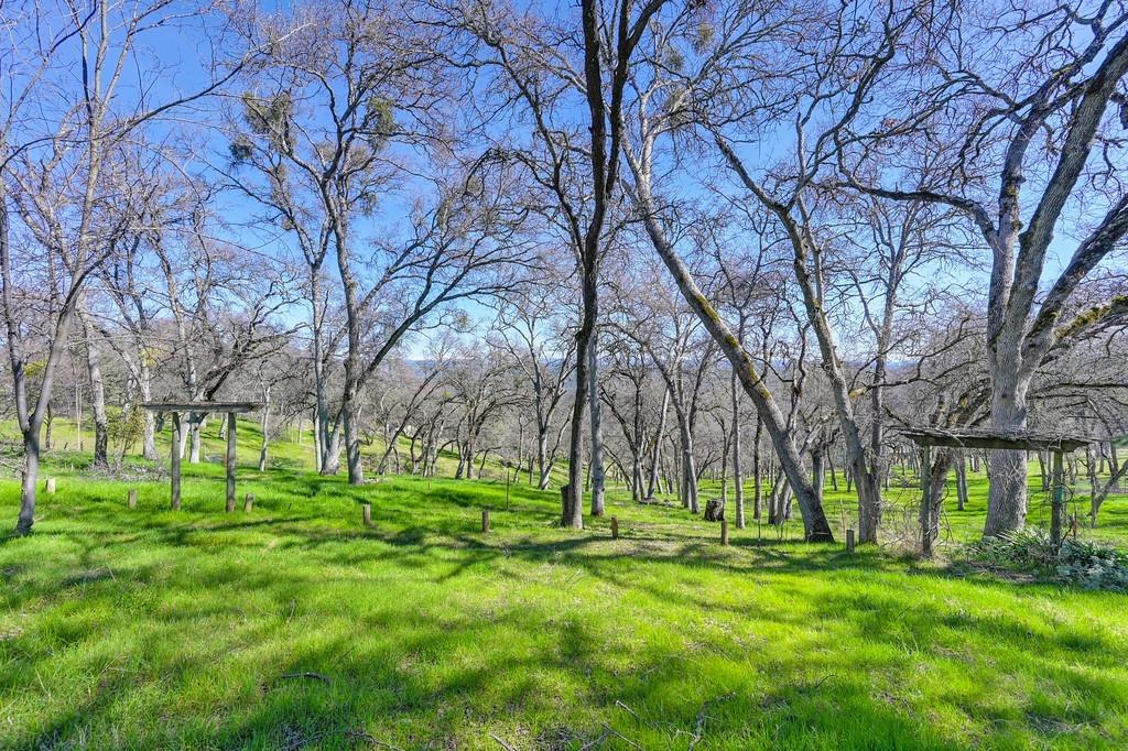 Detail Gallery Image 24 of 41 For 7361 Crystal Blvd, El Dorado,  CA 95623 - – Beds | – Baths