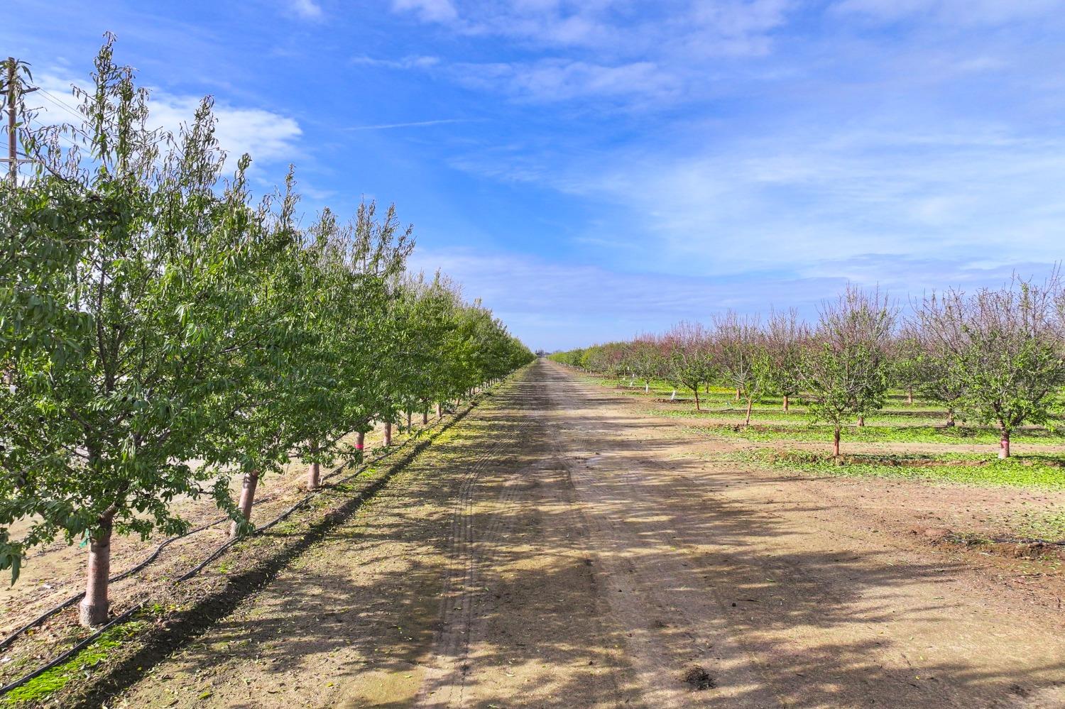Avenue 56, Earlimart, California image 9