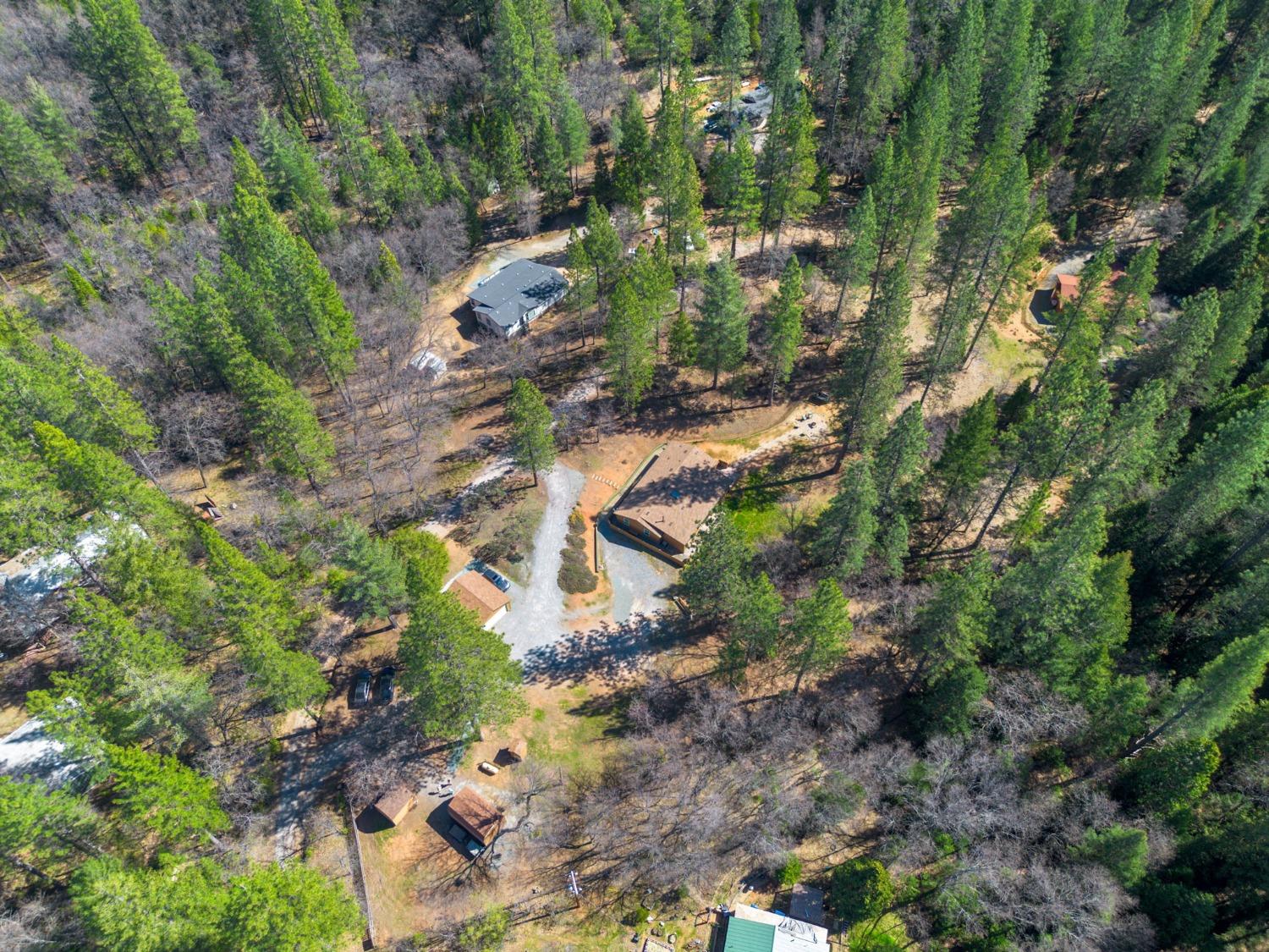 Detail Gallery Image 3 of 46 For 3830 Dogwood Pass Rd, Mokelumne Hill,  CA 95245 - 4 Beds | 4 Baths