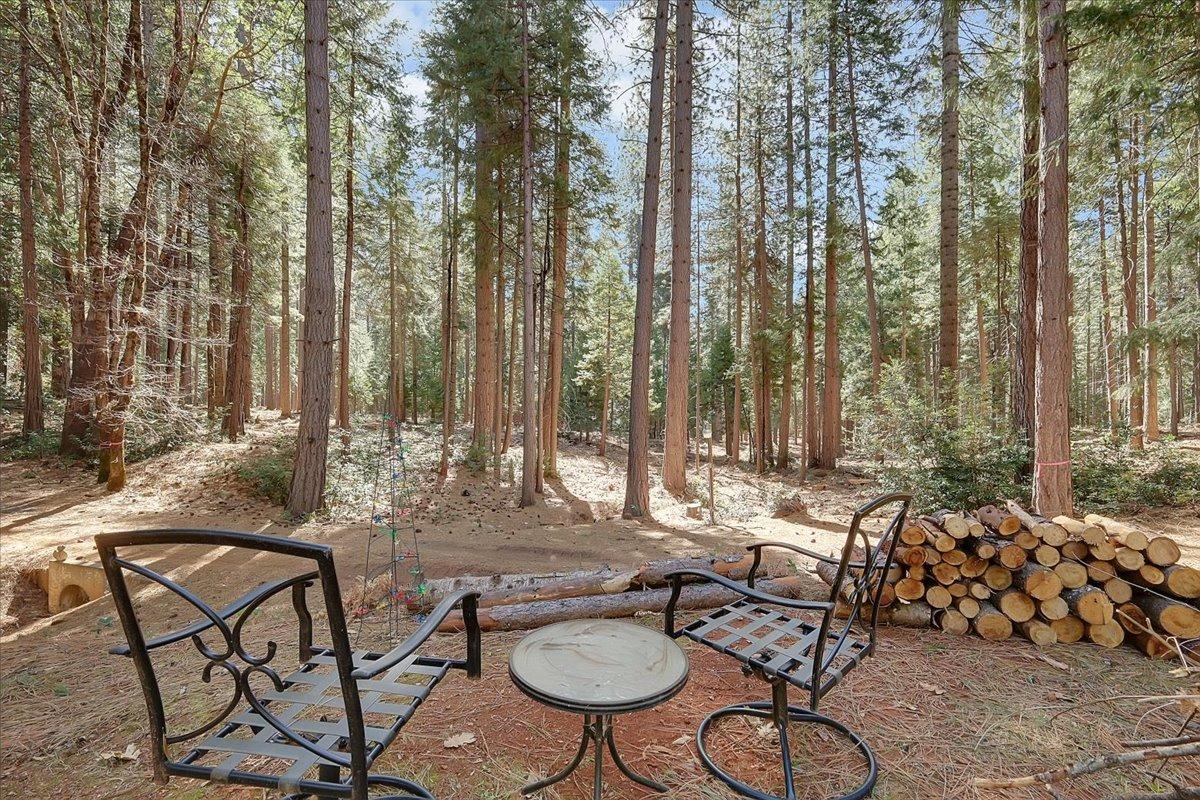 Detail Gallery Image 32 of 35 For 77 Kirkwood Way, Clipper Mills,  CA 95930 - 3 Beds | 2 Baths