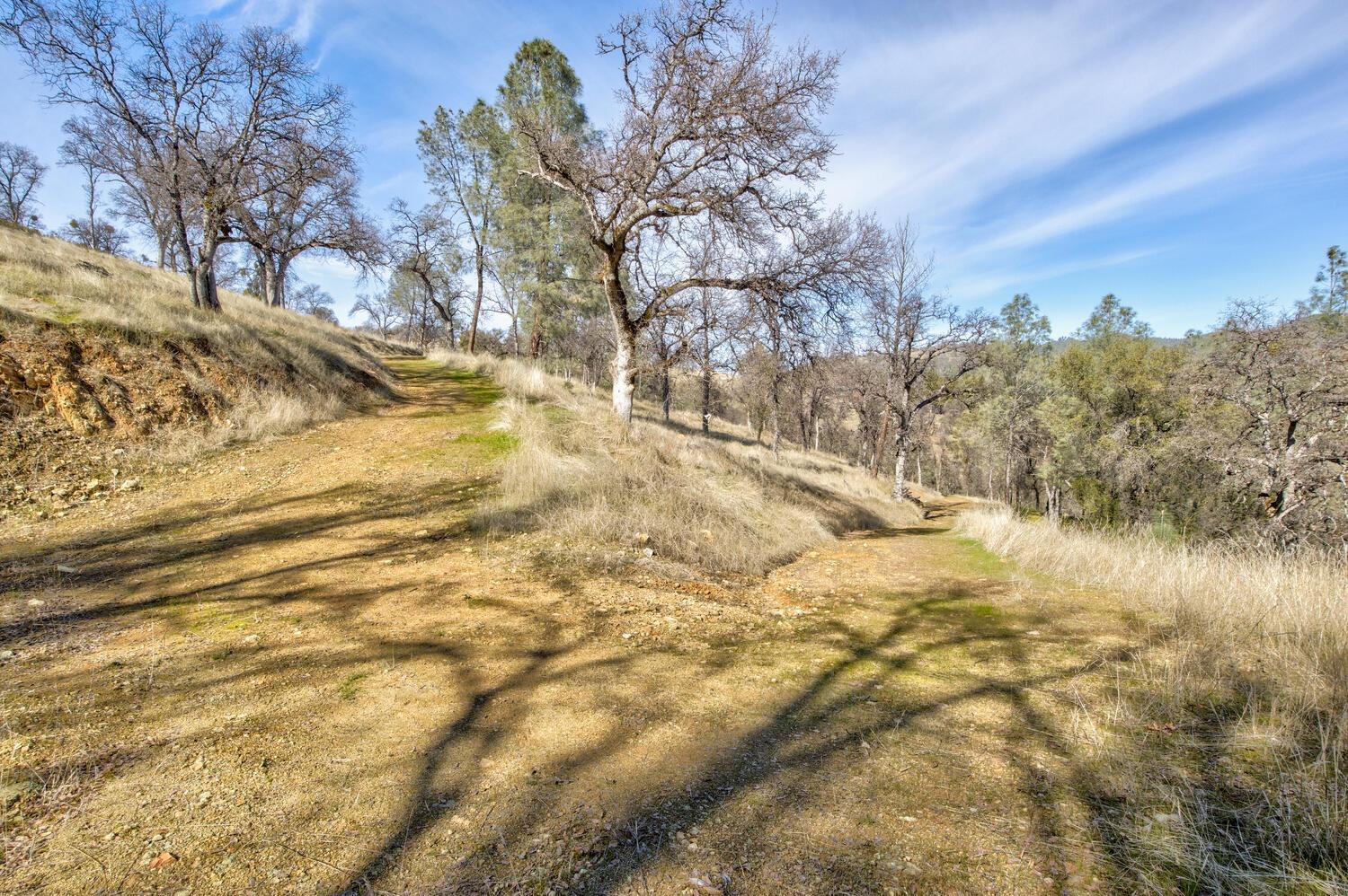 Detail Gallery Image 11 of 28 For 10240 Bone Yard Creek Rd, Coulterville,  CA 95311 - – Beds | – Baths