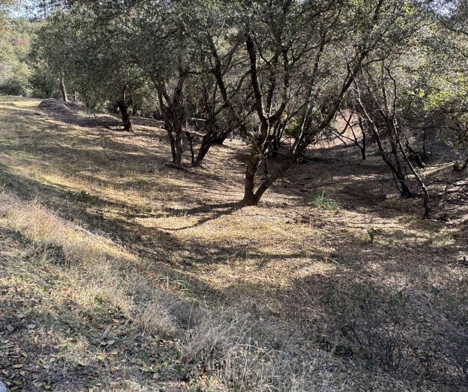 Detail Gallery Image 51 of 59 For 670 Crestview Dr, Diamond Springs,  CA 95619 - 4 Beds | 2 Baths