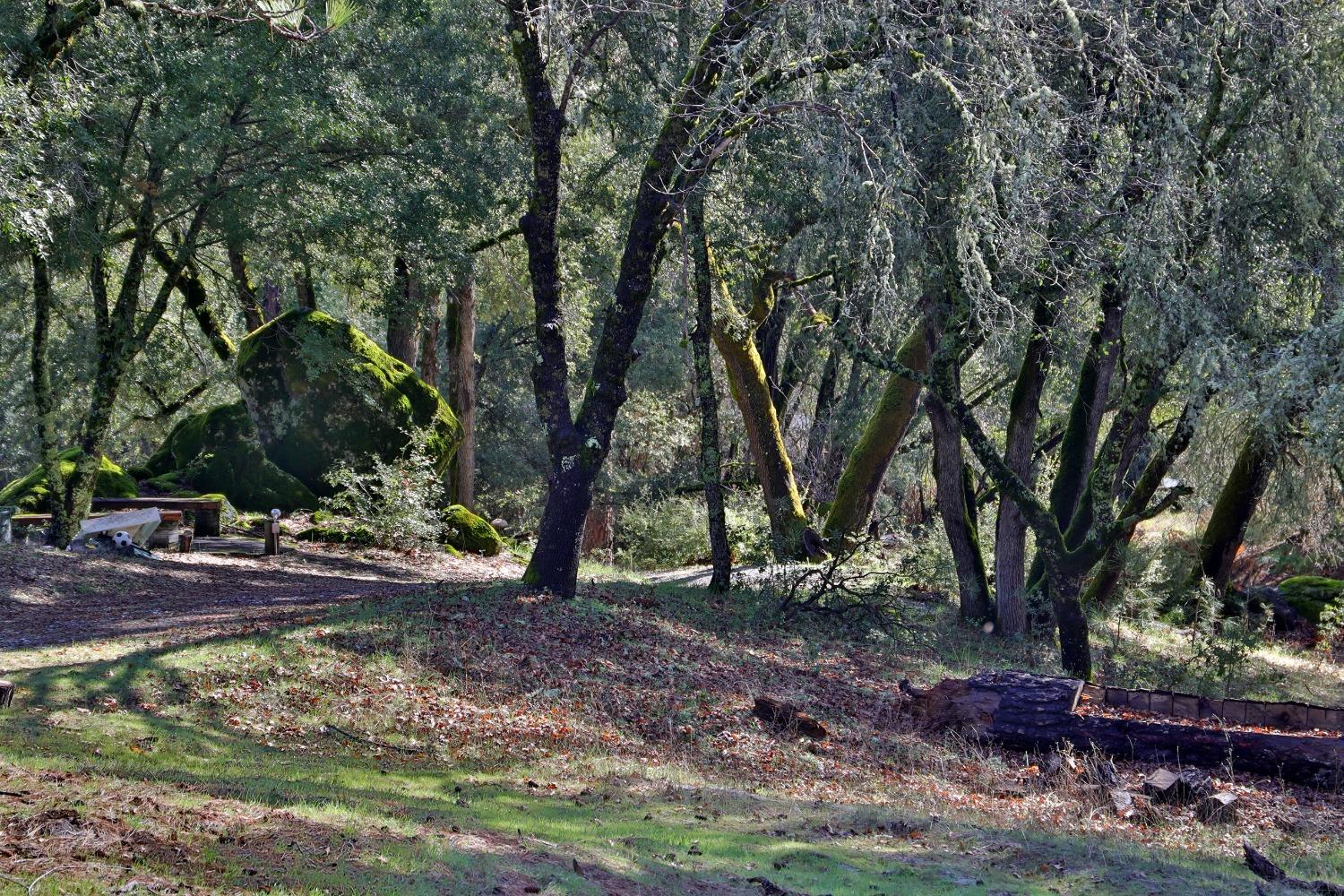 Fairplay Road, Somerset, California image 31