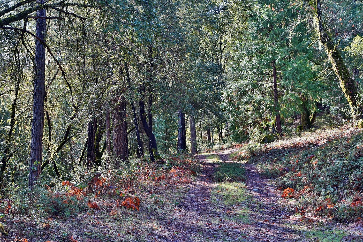 Fairplay Road, Somerset, California image 7