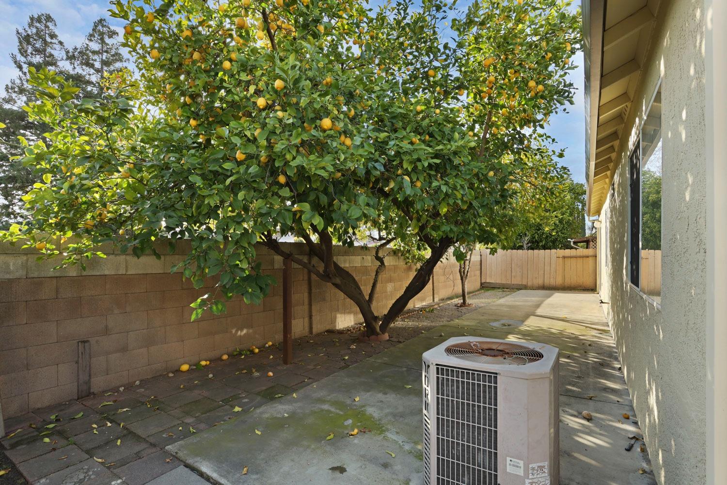 Detail Gallery Image 40 of 44 For 5449 Governor Cir, Stockton,  CA 95210 - 4 Beds | 2 Baths