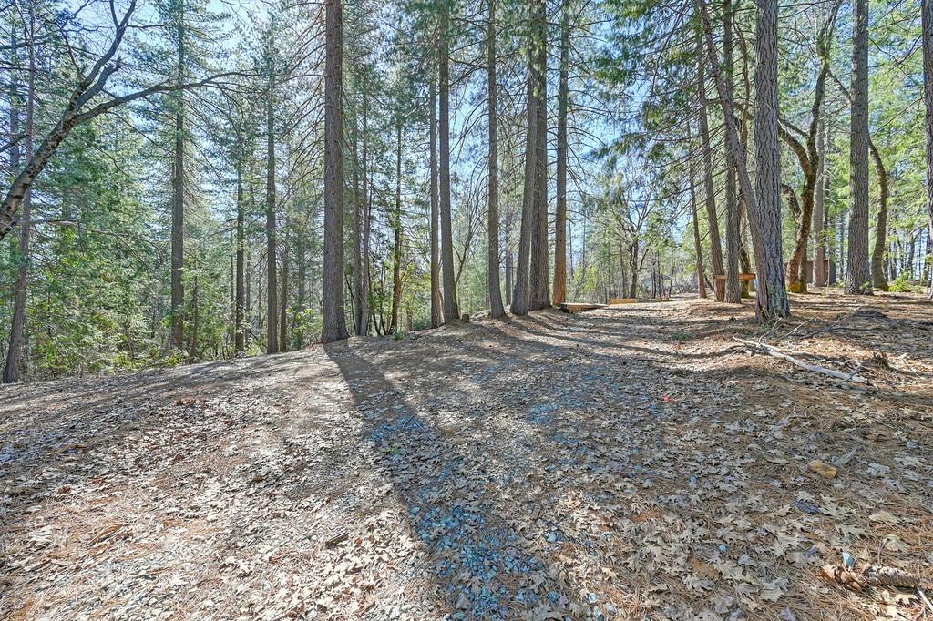 Detail Gallery Image 11 of 29 For 7287 Critter Ln, Georgetown,  CA 95634 - – Beds | – Baths