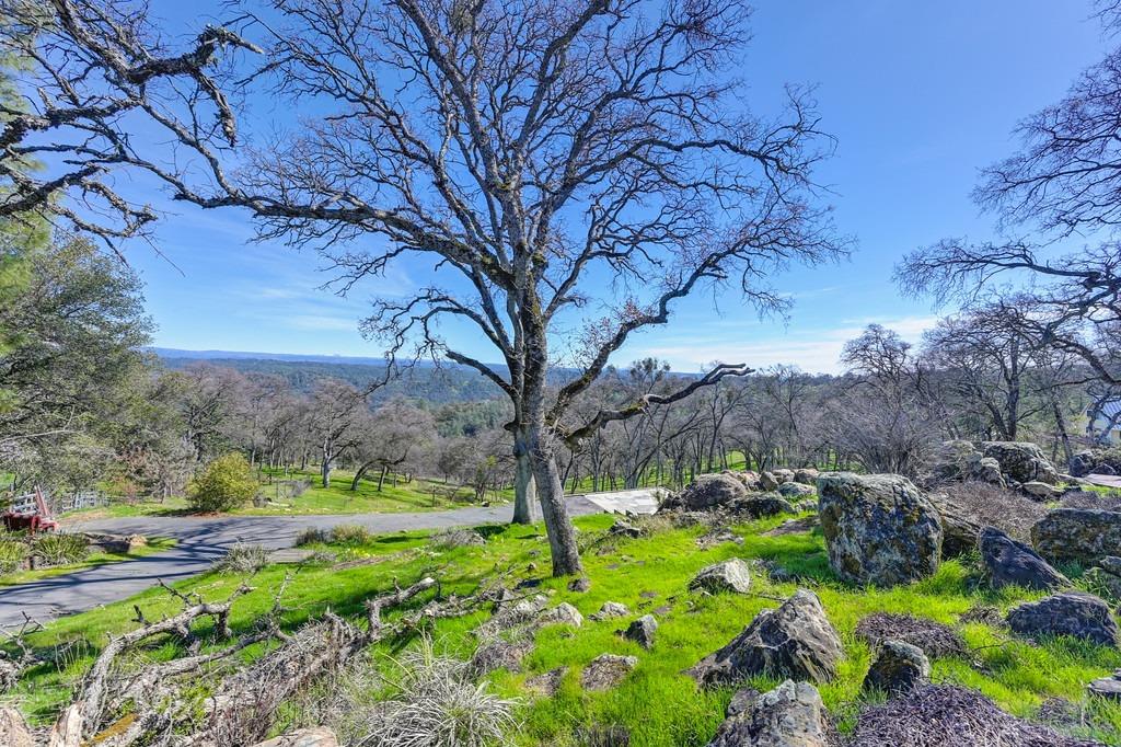 Detail Gallery Image 19 of 41 For 7361 Crystal Blvd, El Dorado,  CA 95623 - – Beds | – Baths