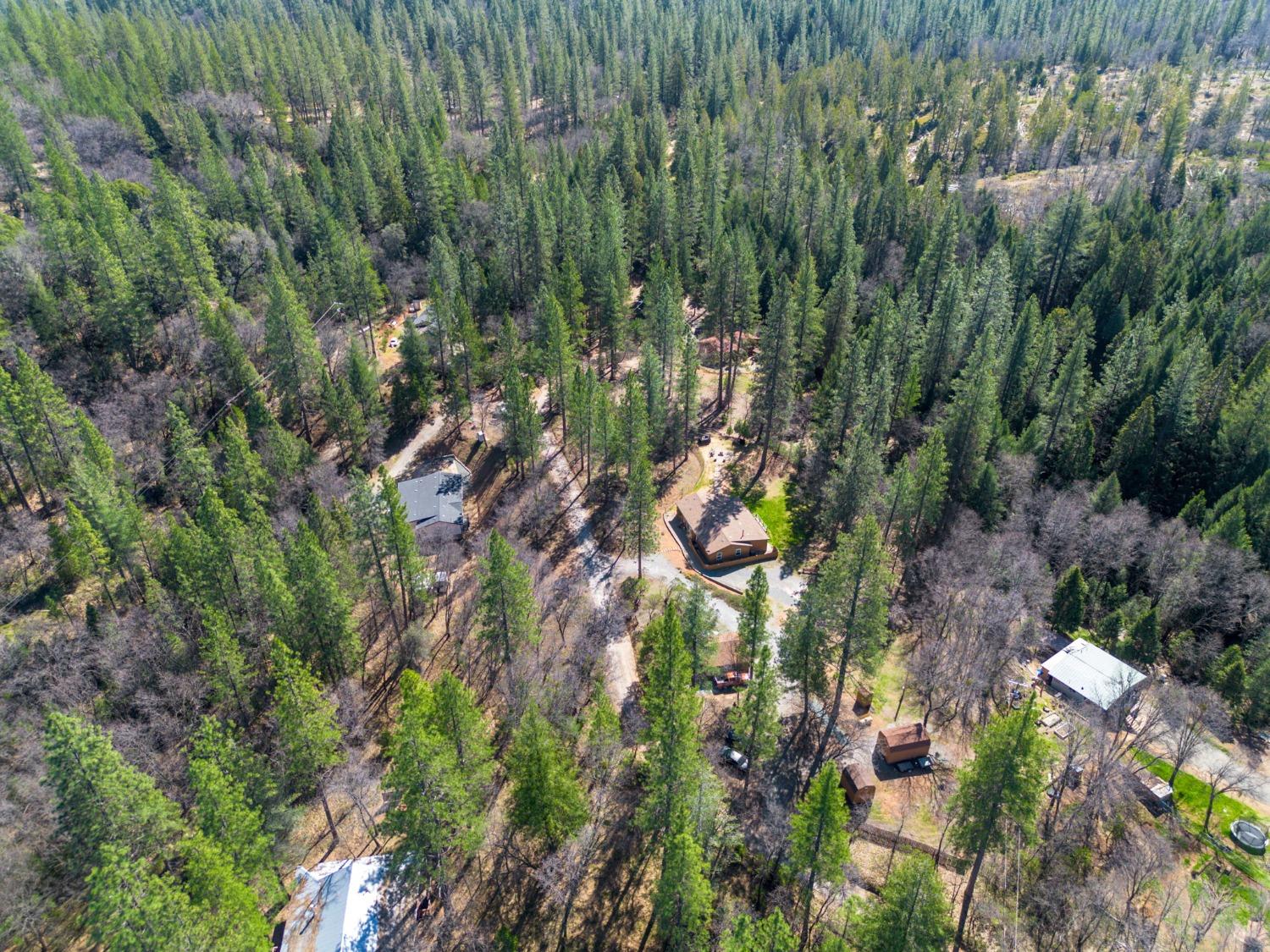 Detail Gallery Image 44 of 46 For 3830 Dogwood Pass Rd, Mokelumne Hill,  CA 95245 - 4 Beds | 4 Baths
