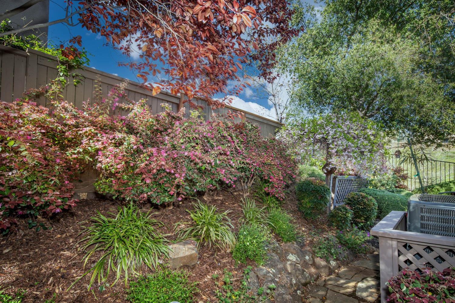 Muratura Way, El Dorado Hills, California image 36