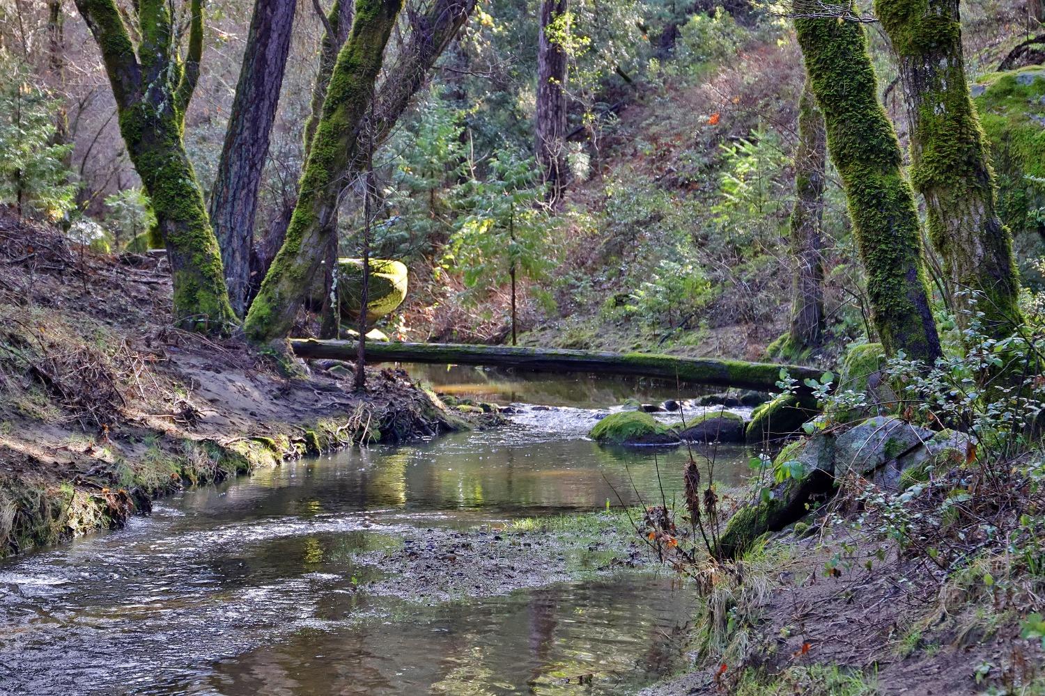 Fairplay Road, Somerset, California image 2