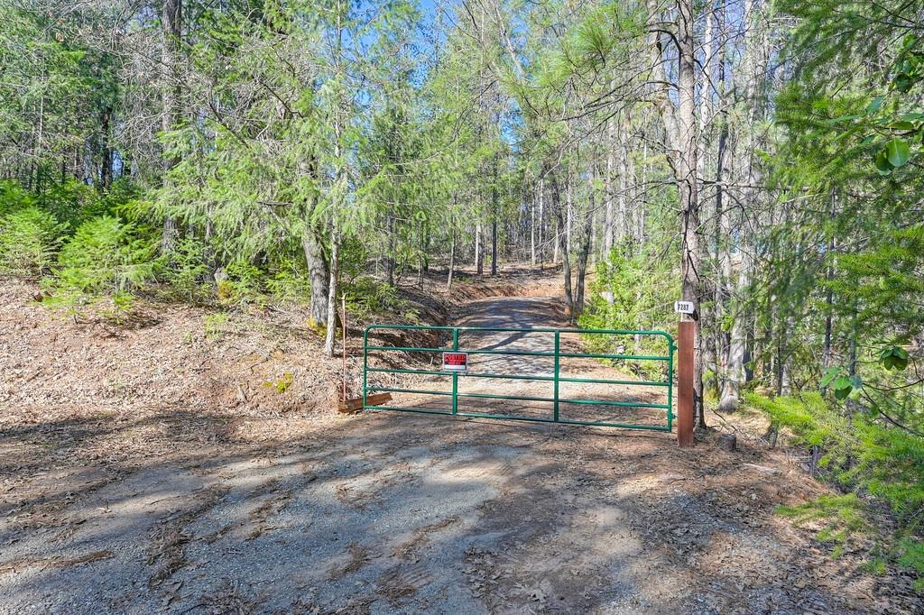 Detail Gallery Image 22 of 29 For 7287 Critter Ln, Georgetown,  CA 95634 - – Beds | – Baths