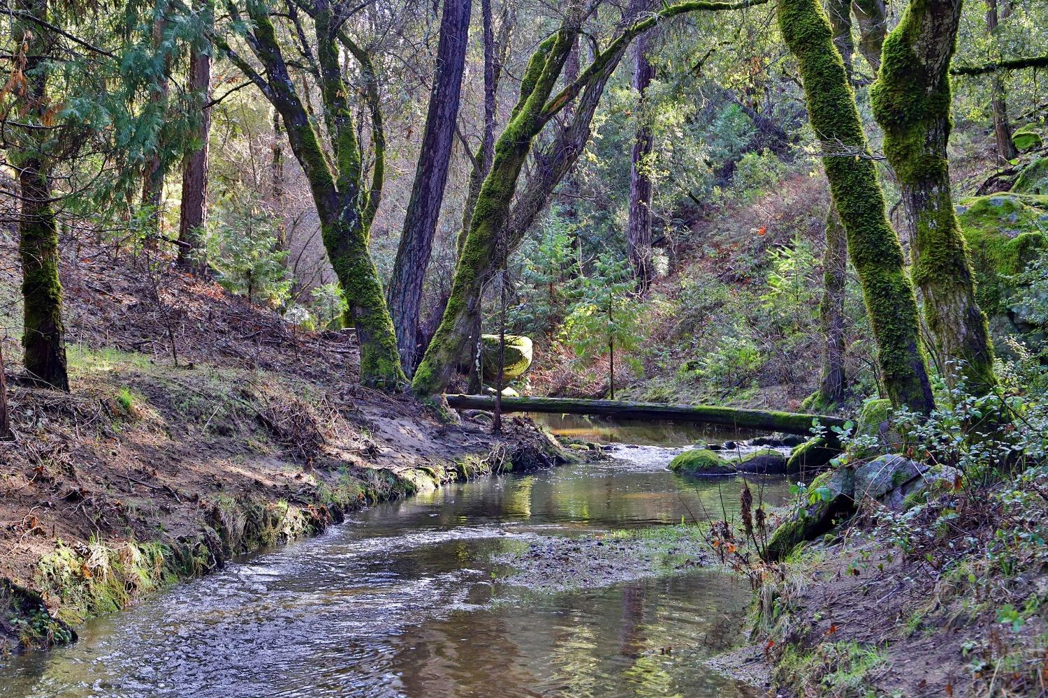 Fairplay Road, Somerset, California image 5