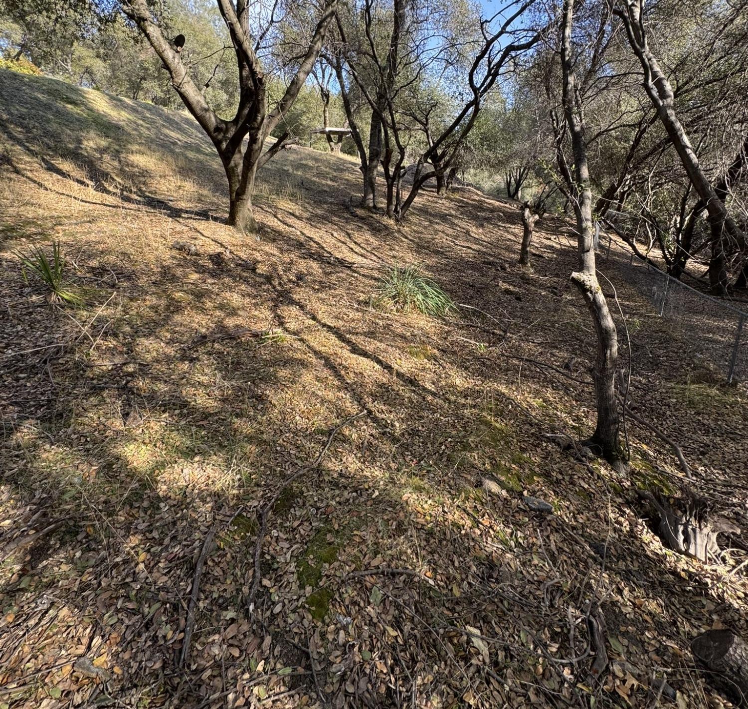 Detail Gallery Image 52 of 59 For 670 Crestview Dr, Diamond Springs,  CA 95619 - 4 Beds | 2 Baths