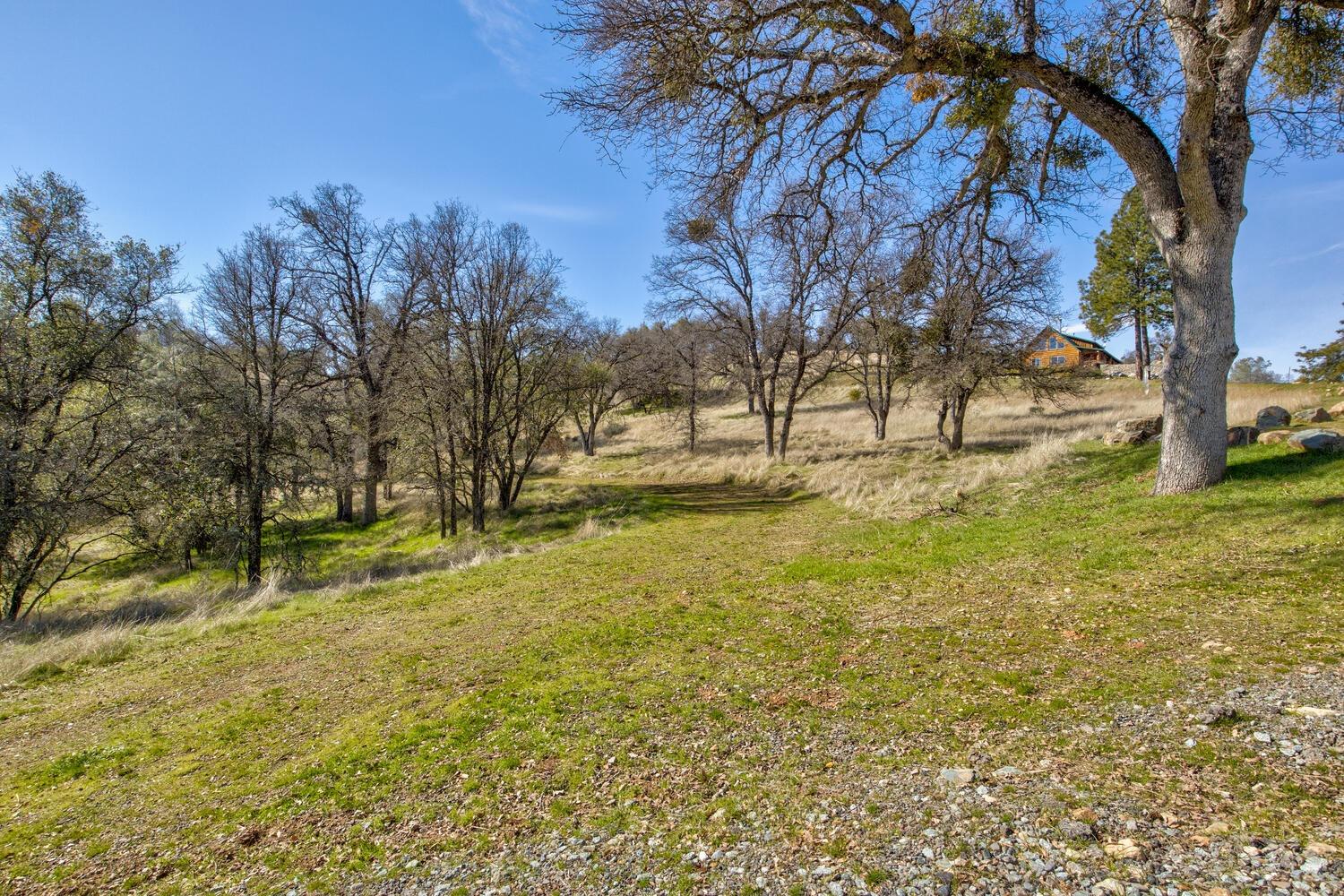 Detail Gallery Image 1 of 28 For 10240 Bone Yard Creek Rd, Coulterville,  CA 95311 - – Beds | – Baths
