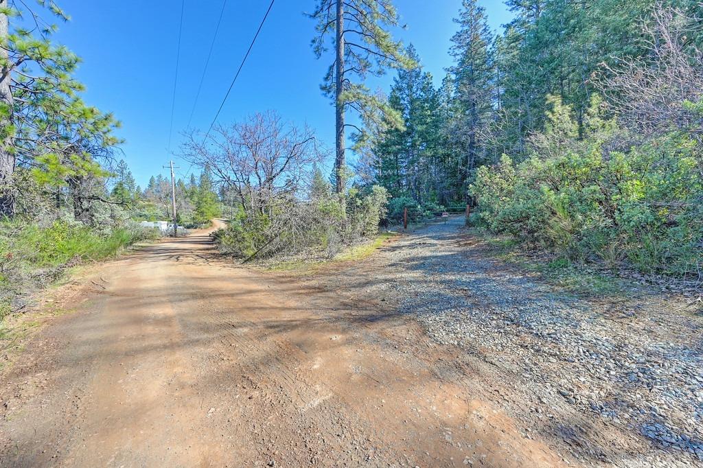 Detail Gallery Image 17 of 29 For 7287 Critter Ln, Georgetown,  CA 95634 - – Beds | – Baths