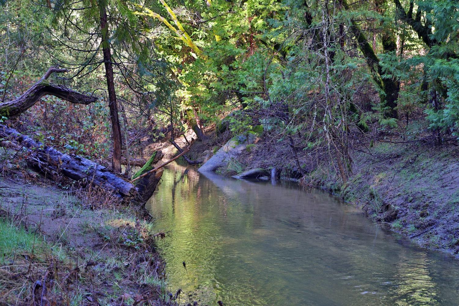 Fairplay Road, Somerset, California image 6