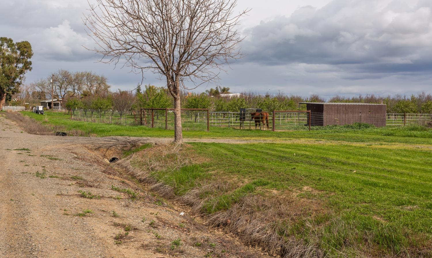 Detail Gallery Image 16 of 46 For 18341 County Road 86, Esparto,  CA 95627 - 4 Beds | 2 Baths
