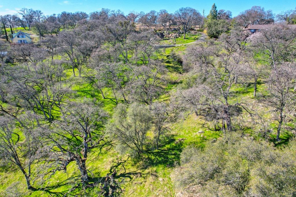 Detail Gallery Image 15 of 41 For 7361 Crystal Blvd, El Dorado,  CA 95623 - – Beds | – Baths