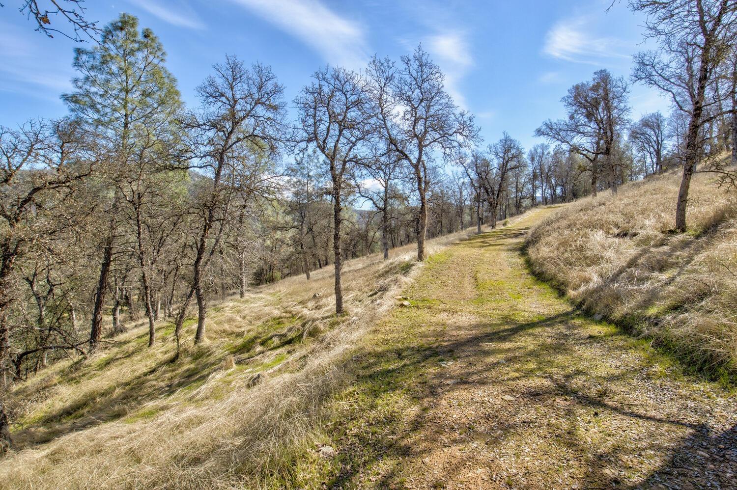 Detail Gallery Image 6 of 28 For 10240 Bone Yard Creek Rd, Coulterville,  CA 95311 - – Beds | – Baths