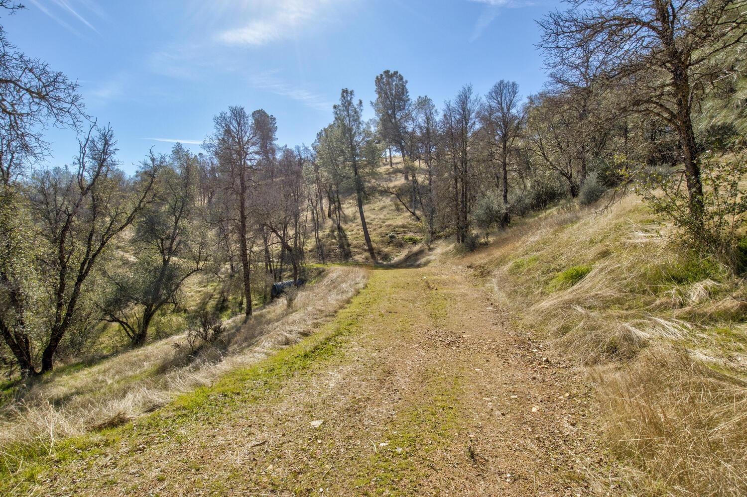 Detail Gallery Image 4 of 28 For 10240 Bone Yard Creek Rd, Coulterville,  CA 95311 - – Beds | – Baths