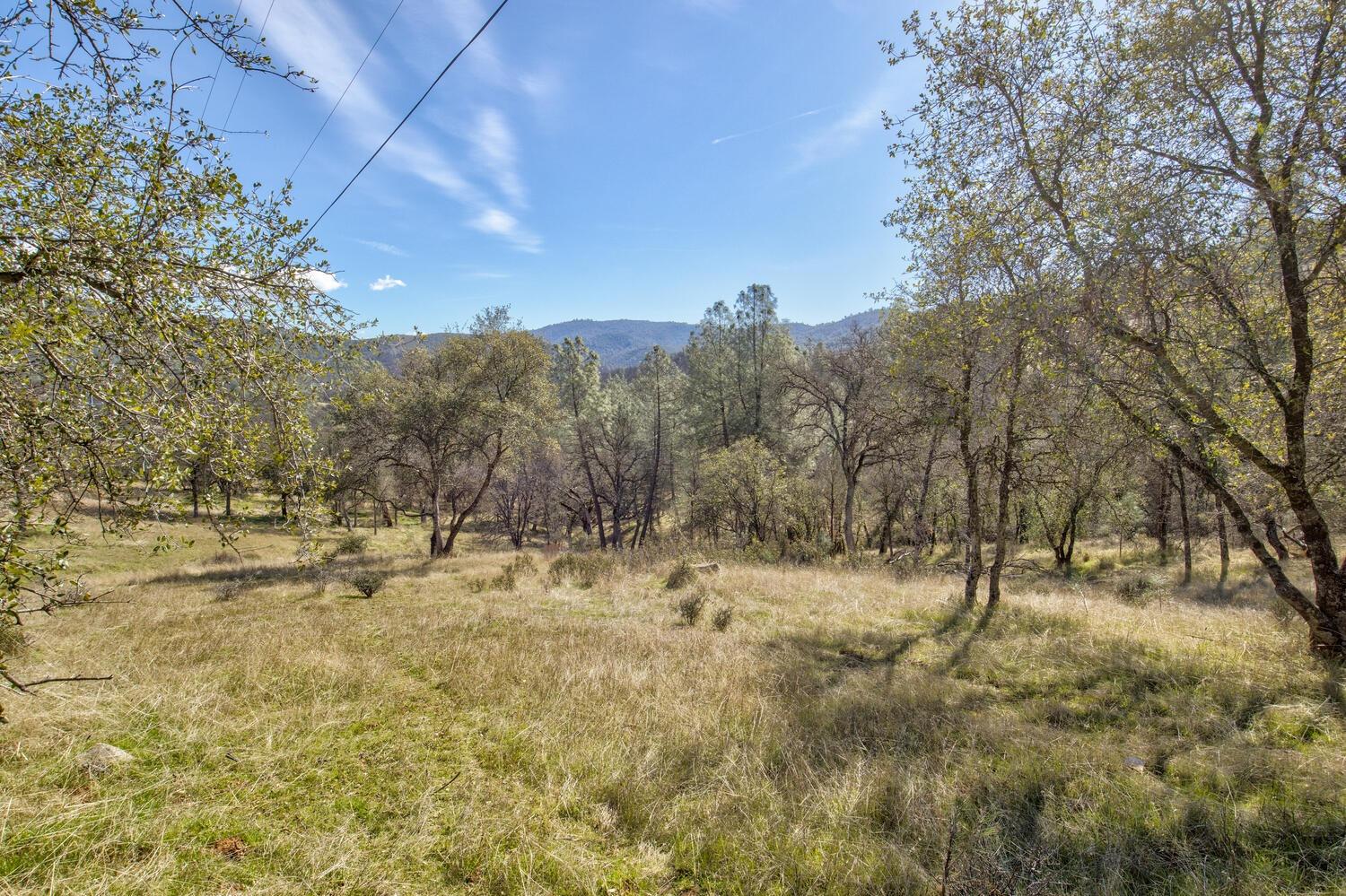 Detail Gallery Image 3 of 28 For 10240 Bone Yard Creek Rd, Coulterville,  CA 95311 - – Beds | – Baths