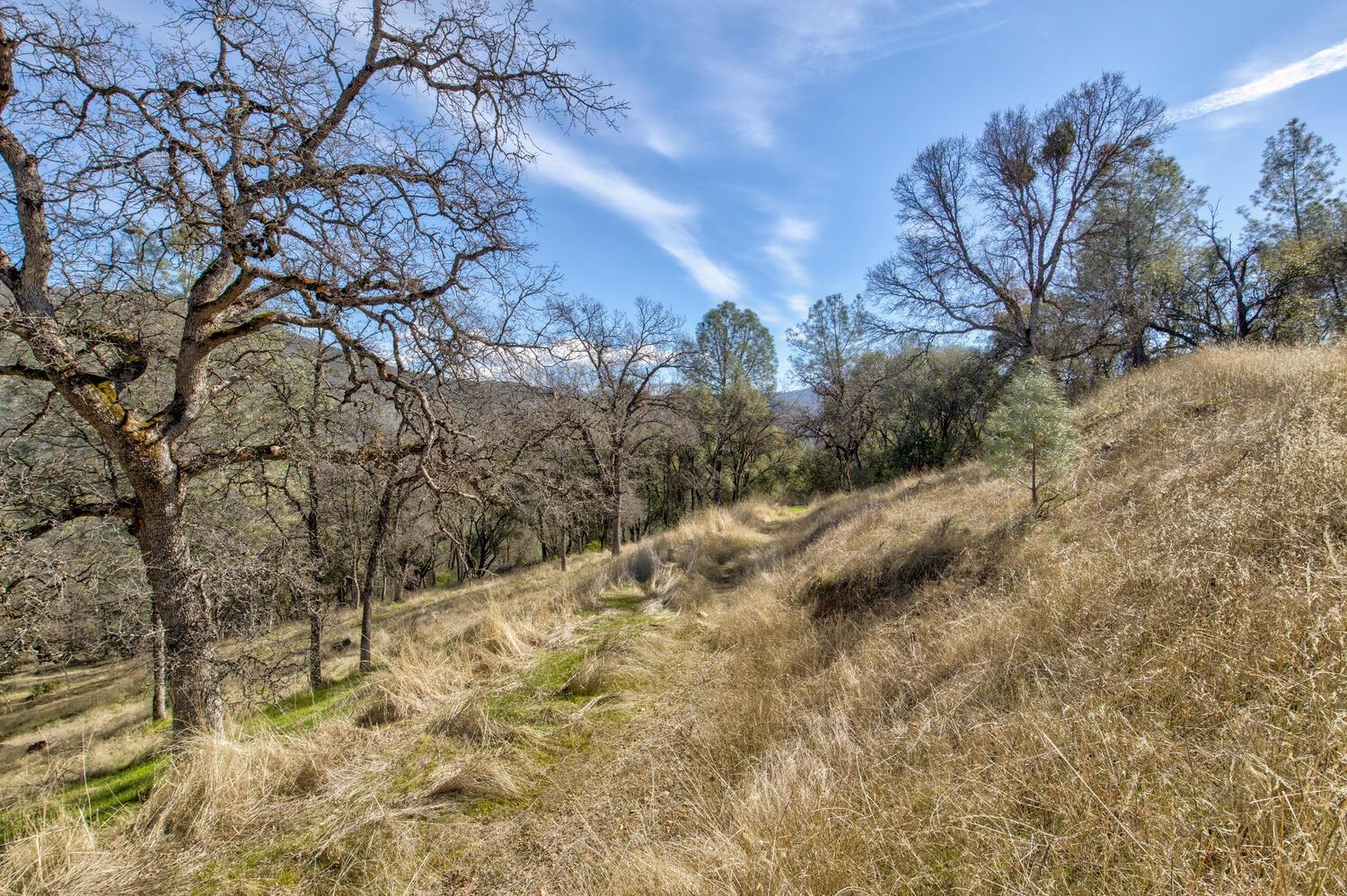 Detail Gallery Image 10 of 28 For 10240 Bone Yard Creek Rd, Coulterville,  CA 95311 - – Beds | – Baths