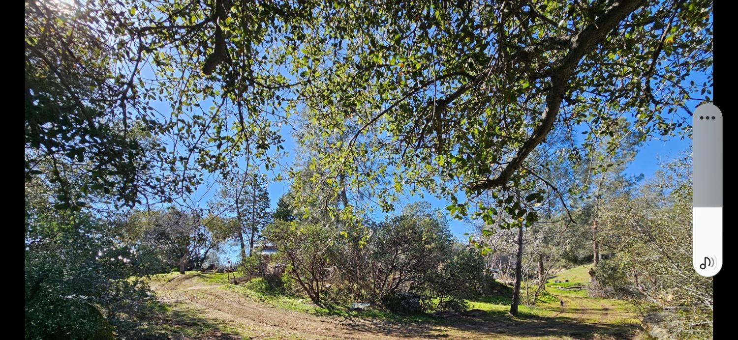 Detail Gallery Image 73 of 79 For 46467 Bissett Station Rd, Ahwahnee,  CA 93601 - – Beds | – Baths