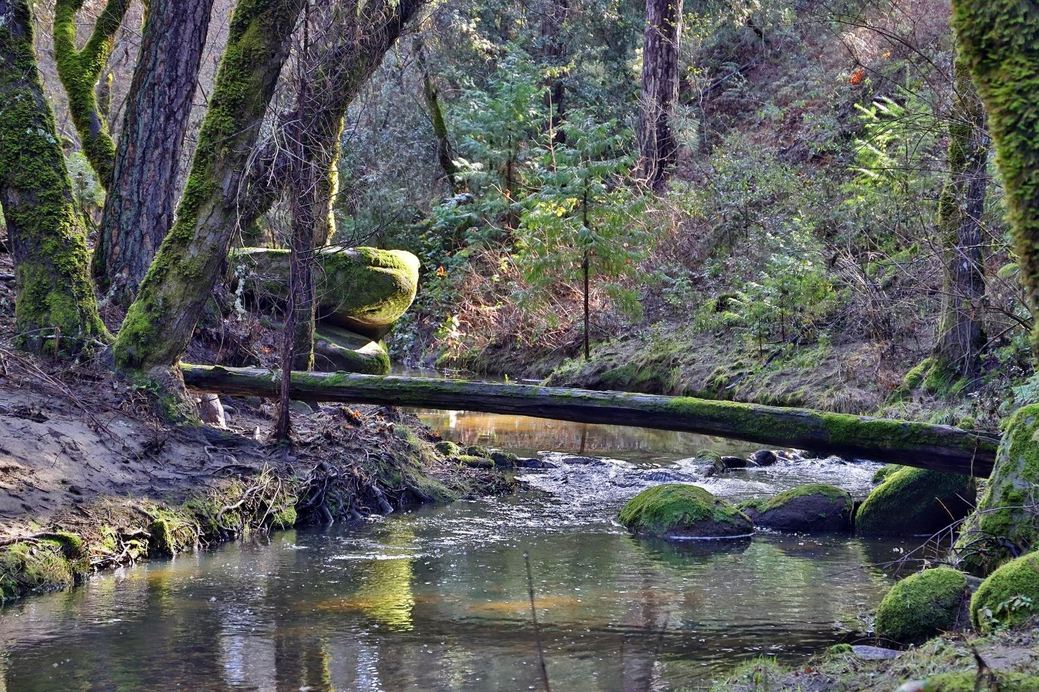 Fairplay Road, Somerset, California image 4