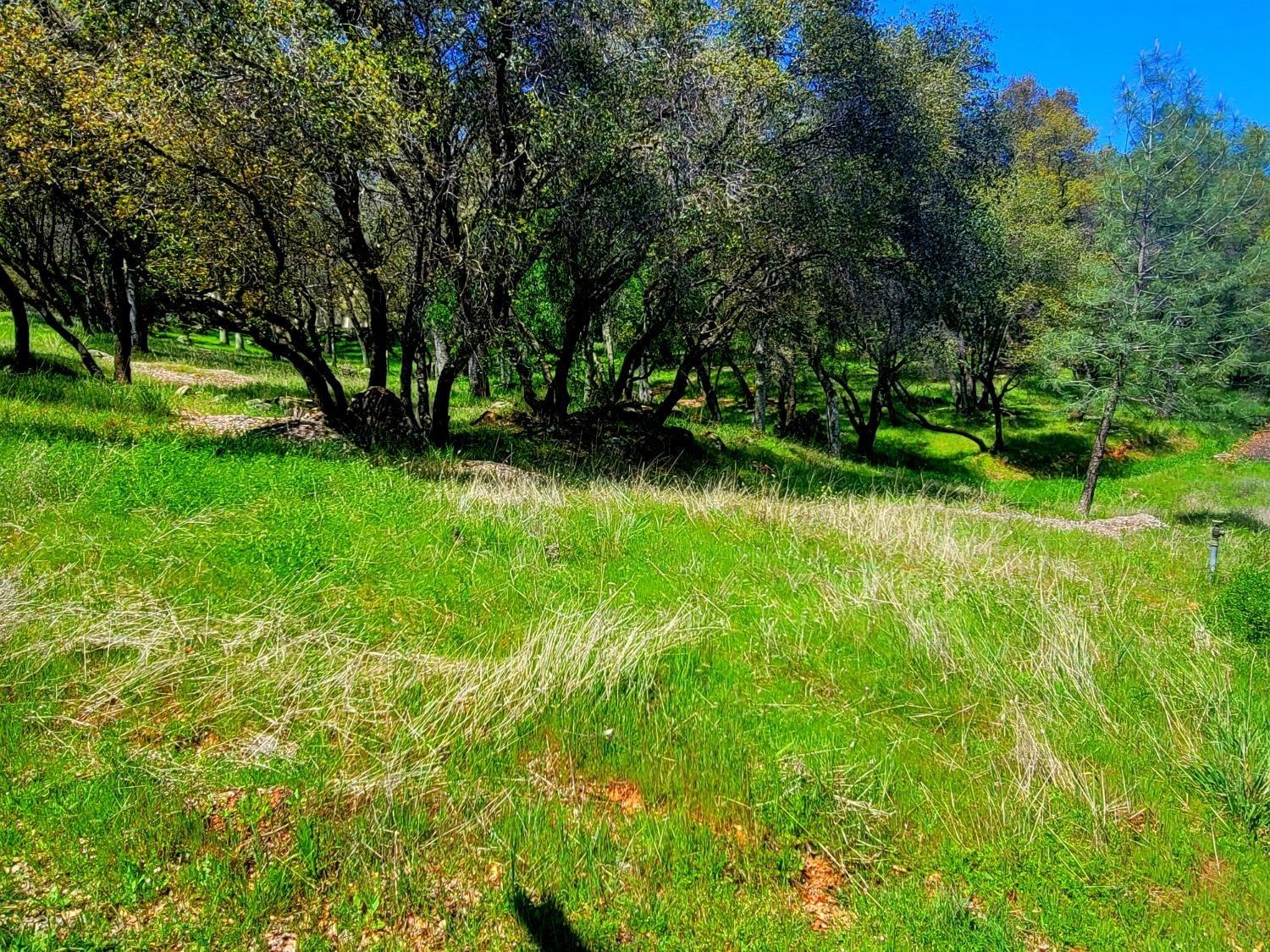Mary, Auburn, California image 2