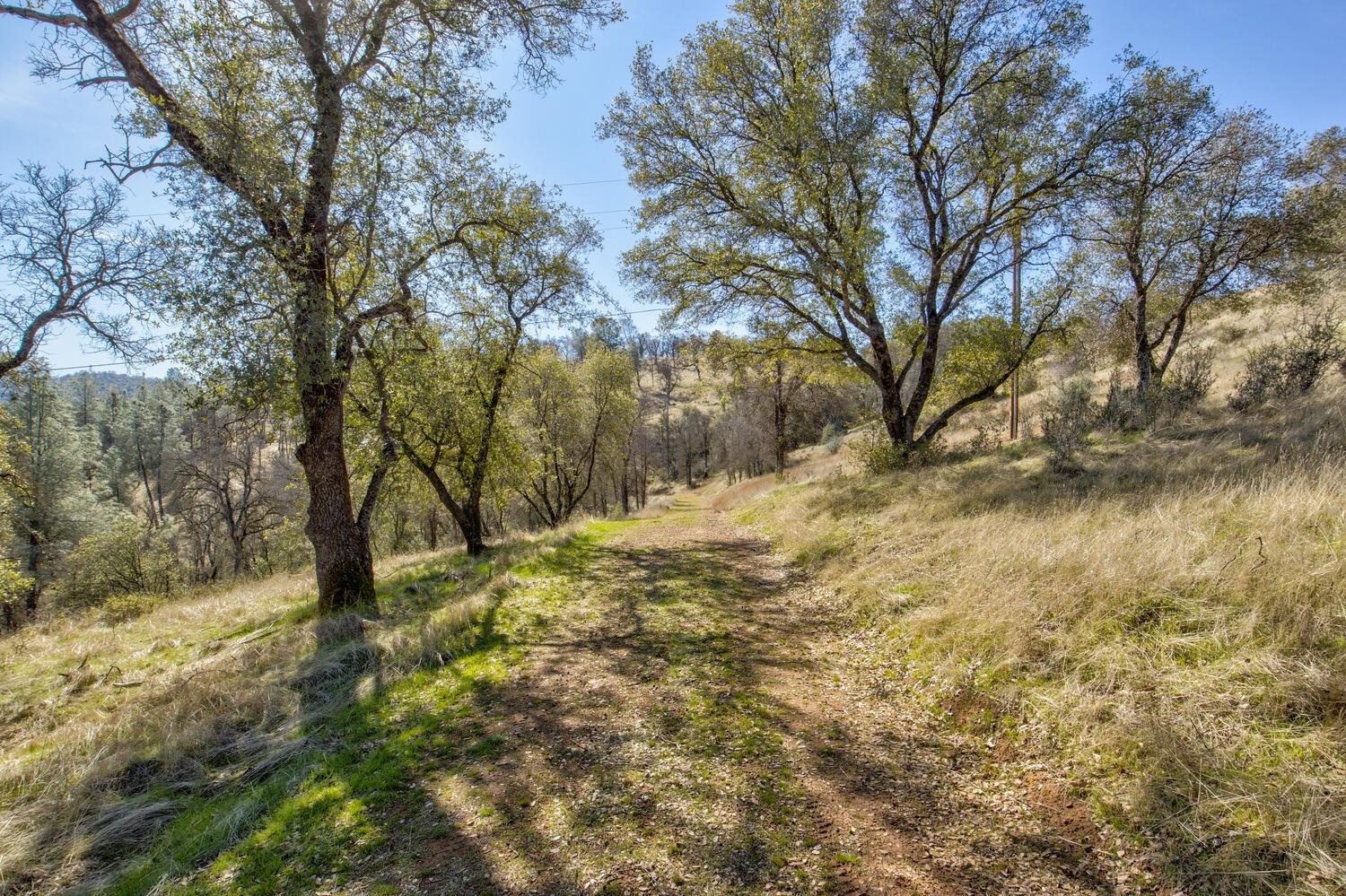 Detail Gallery Image 2 of 28 For 10240 Bone Yard Creek Rd, Coulterville,  CA 95311 - – Beds | – Baths