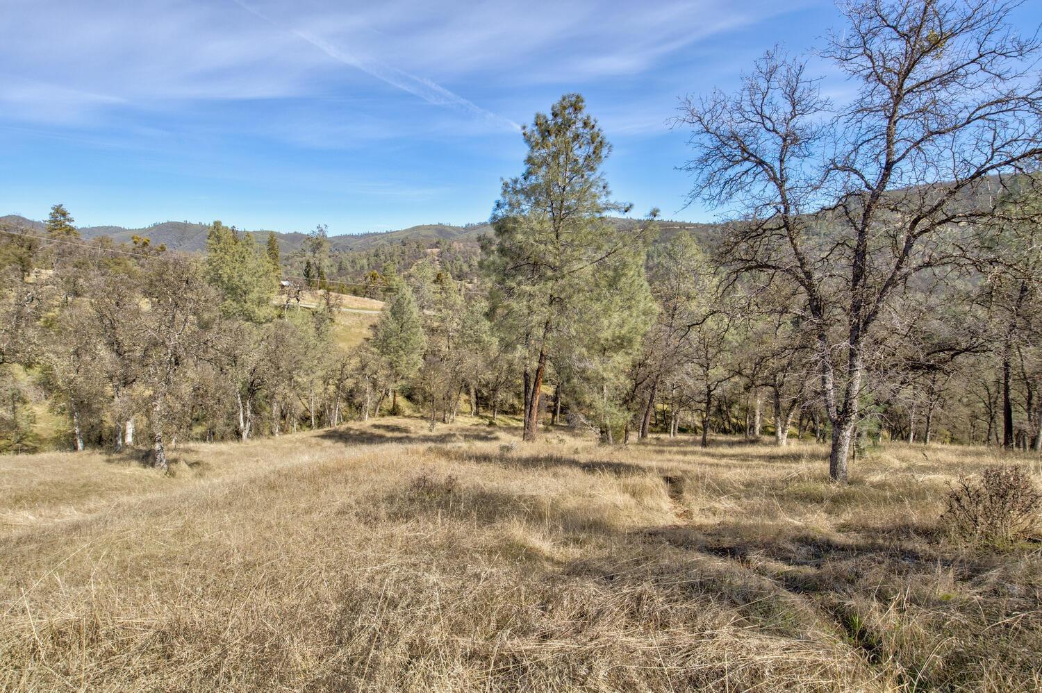 Detail Gallery Image 8 of 28 For 10240 Bone Yard Creek Rd, Coulterville,  CA 95311 - – Beds | – Baths