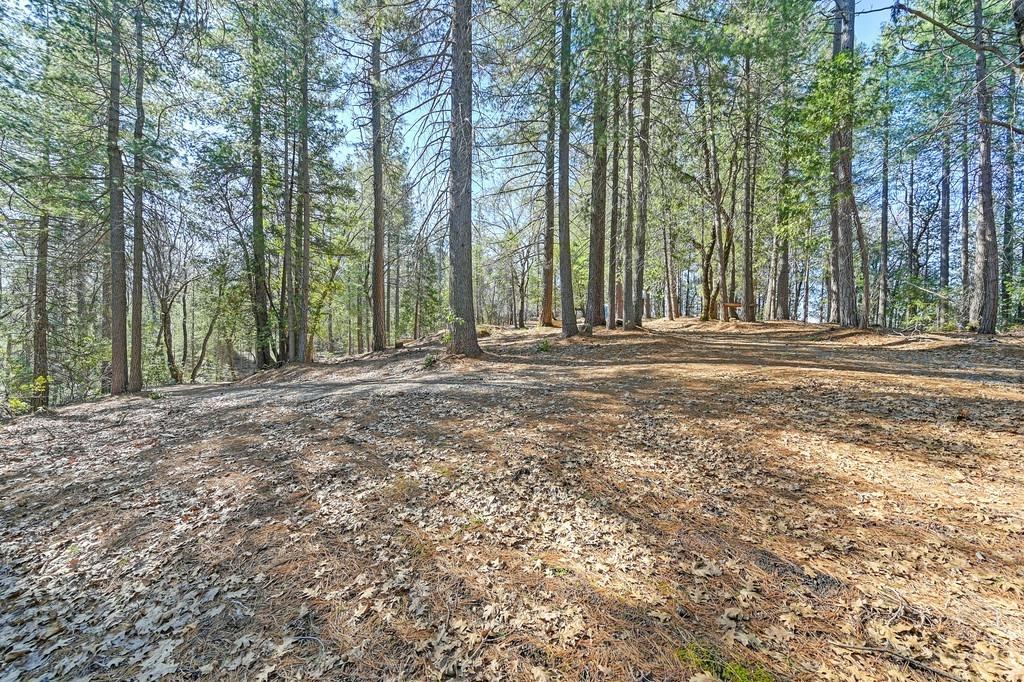 Detail Gallery Image 2 of 29 For 7287 Critter Ln, Georgetown,  CA 95634 - – Beds | – Baths