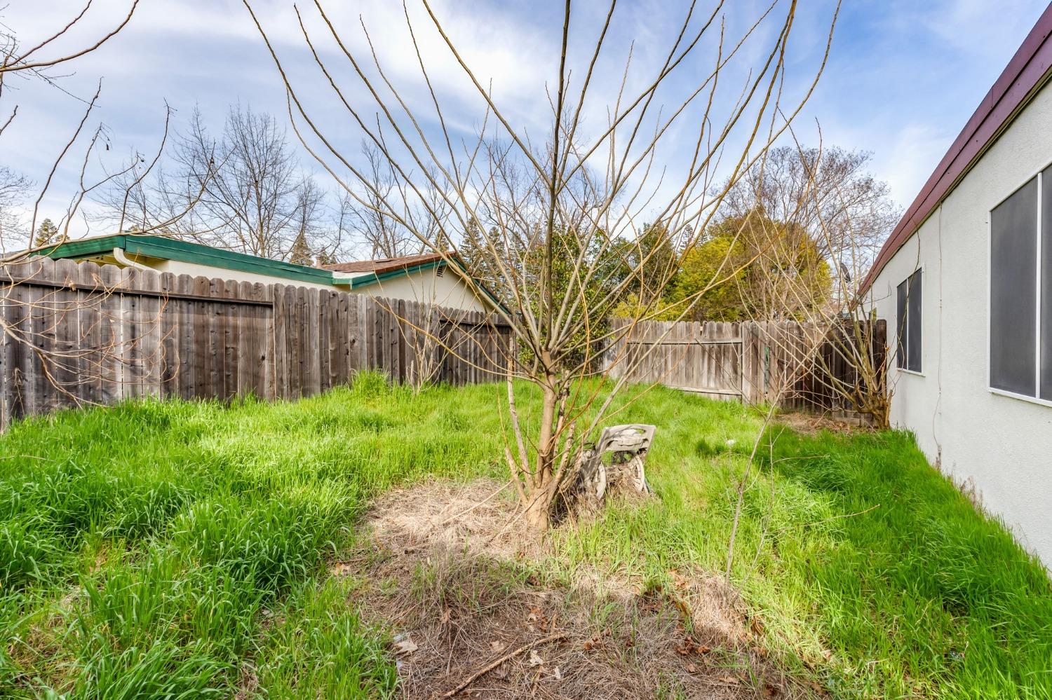 Zinfandel Drive, Rancho Cordova, California image 10