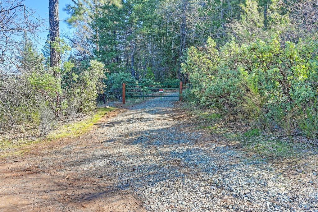 Detail Gallery Image 18 of 29 For 7287 Critter Ln, Georgetown,  CA 95634 - – Beds | – Baths