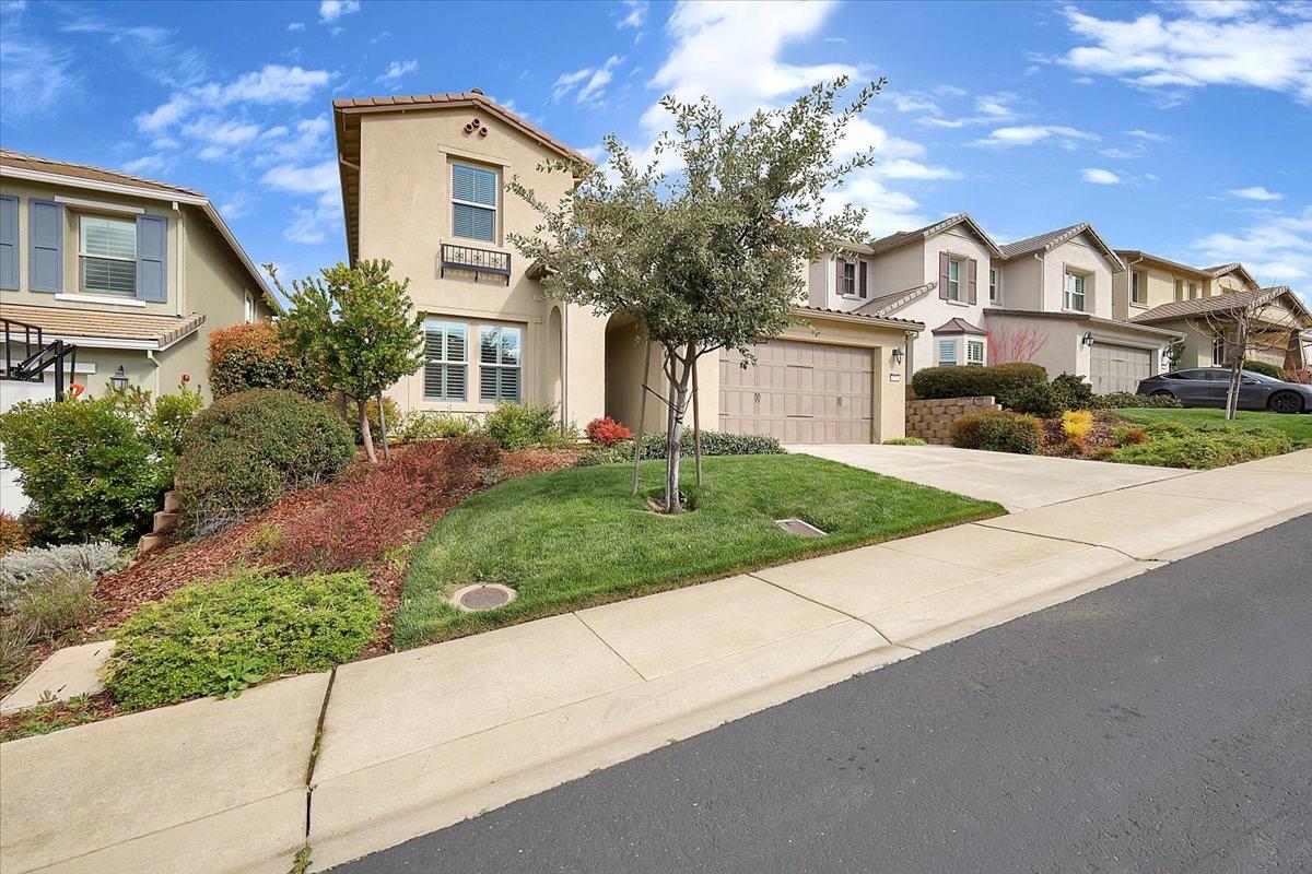 Laceneck, El Dorado Hills, California image 3