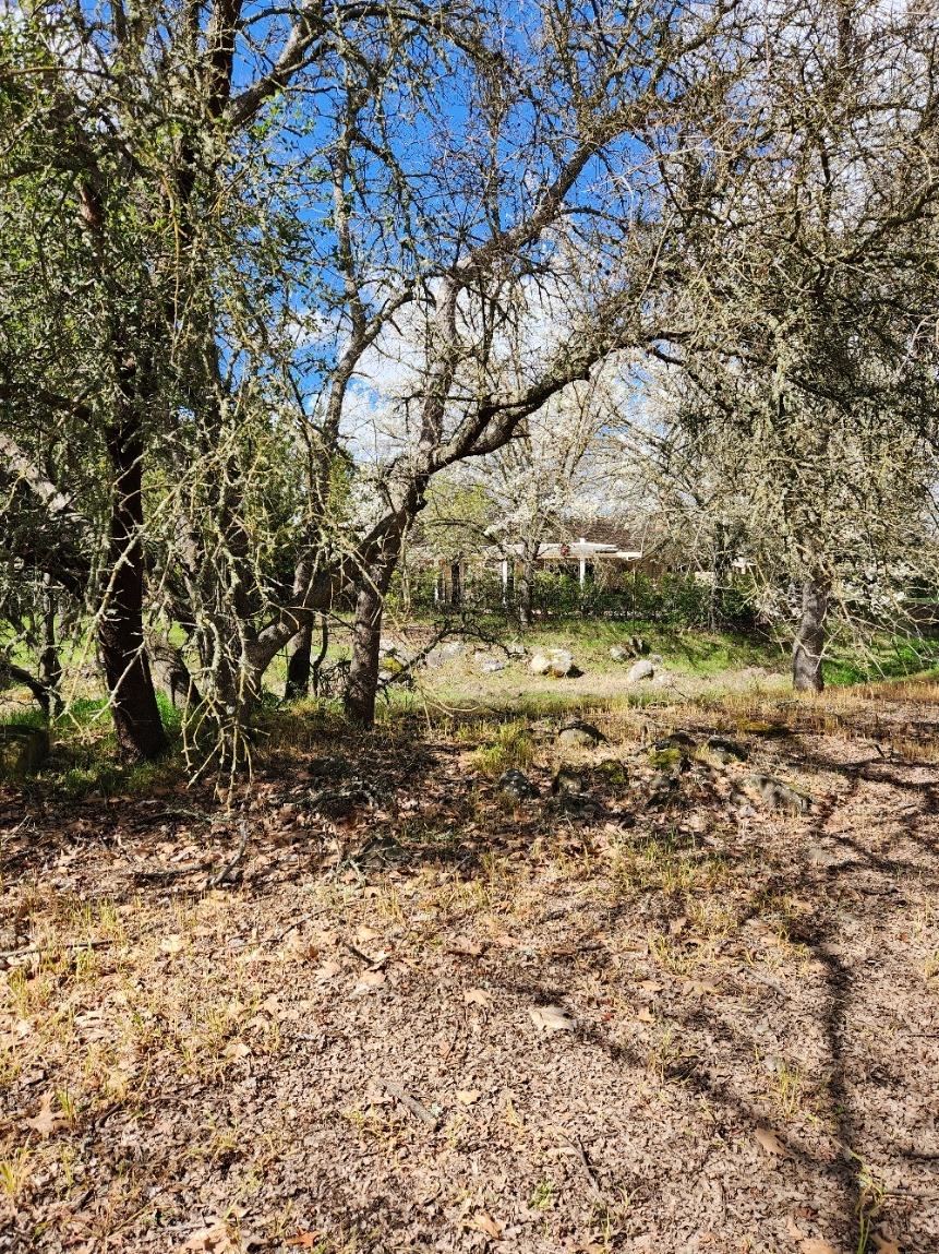 Detail Gallery Image 71 of 88 For 6707 Pera Dr, Rancho Murieta,  CA 95683 - 3 Beds | 2/1 Baths